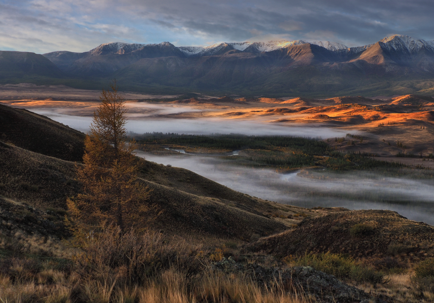 Алтай, Курайская степь, Галина Хвостенко