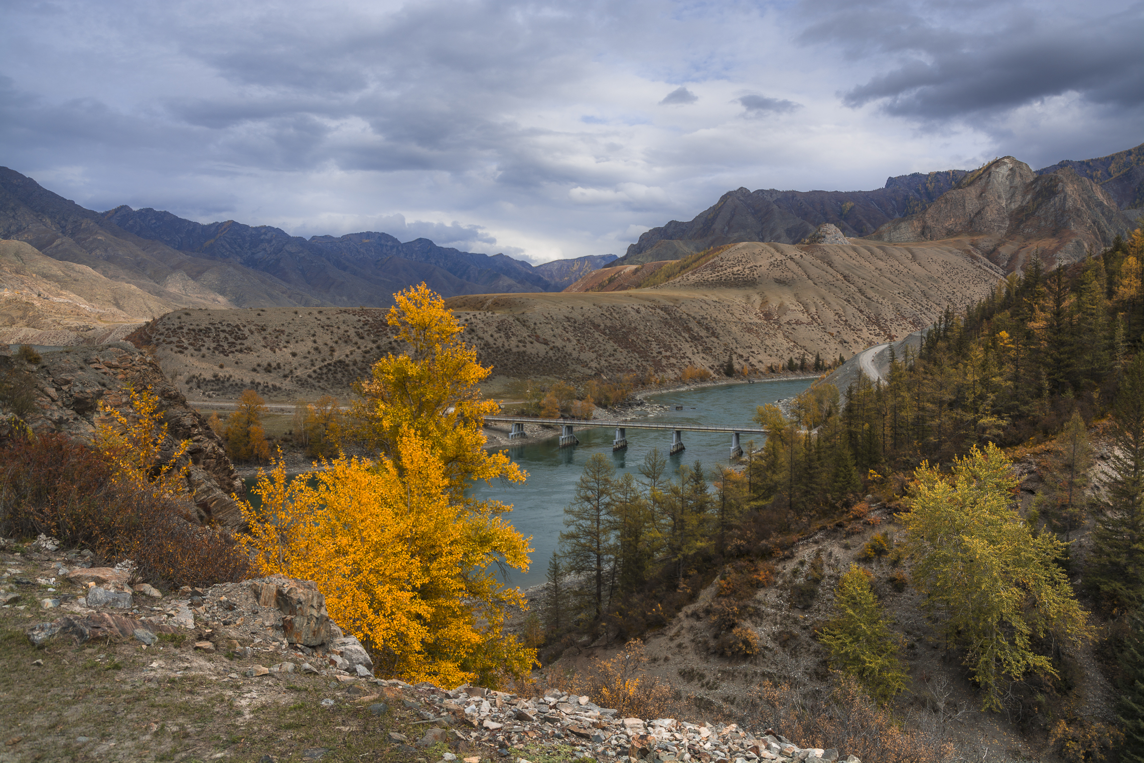 россия, горный алтай, река катунь, осень, краски осени, Андрей Поляков