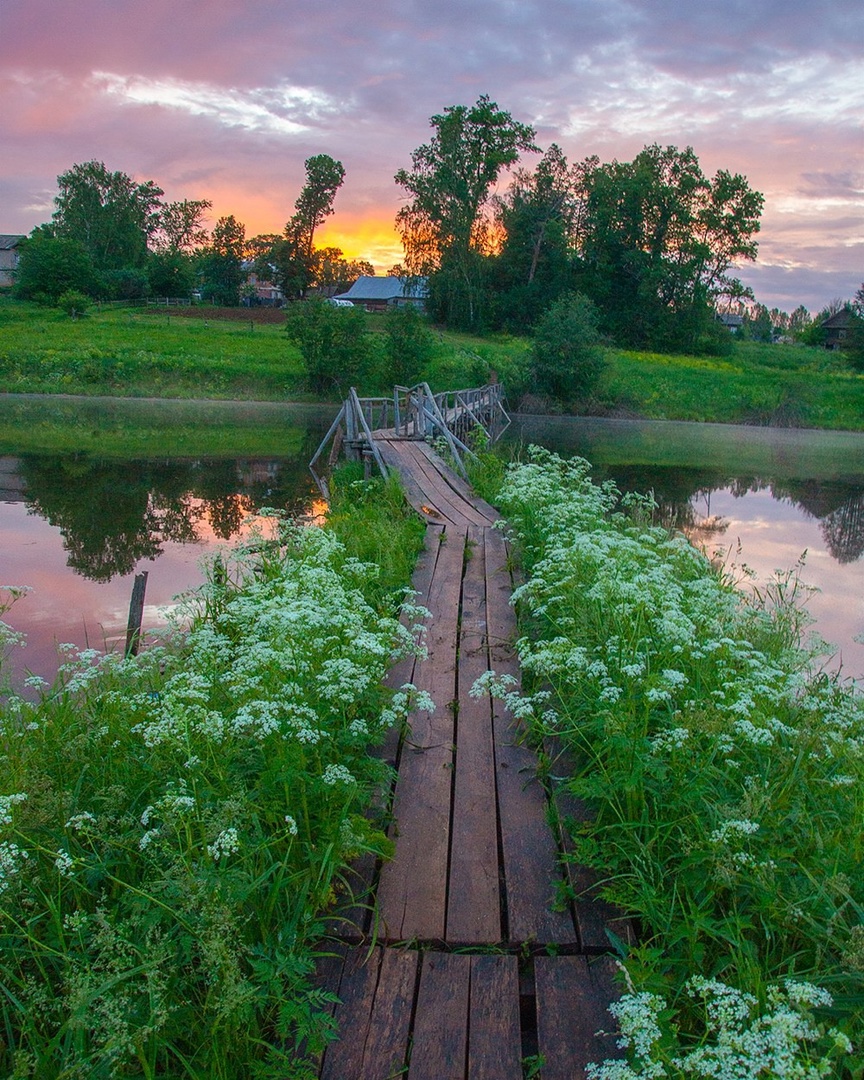 , Петр Косых