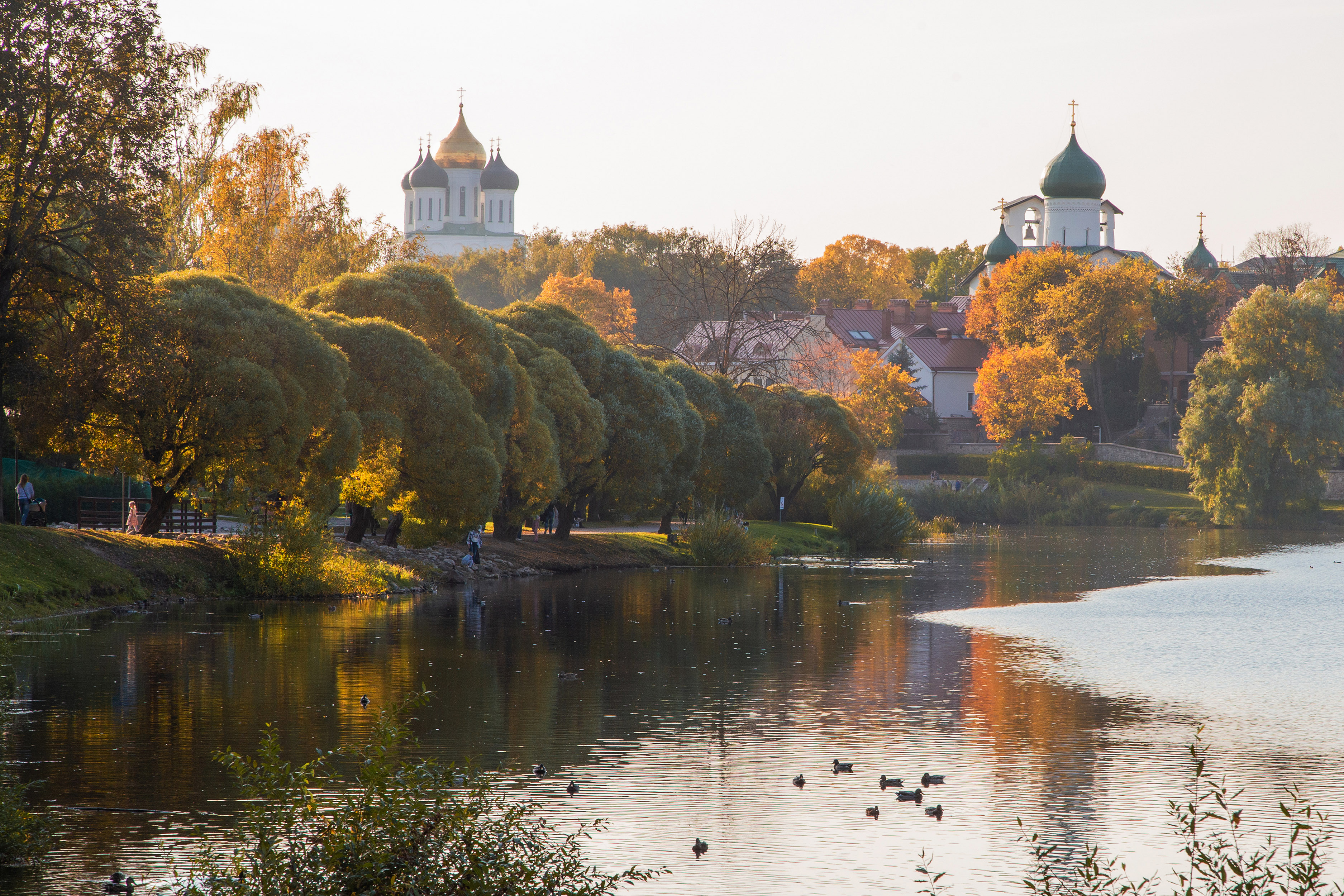 Псков, город Псков, Кормашова Татьяна