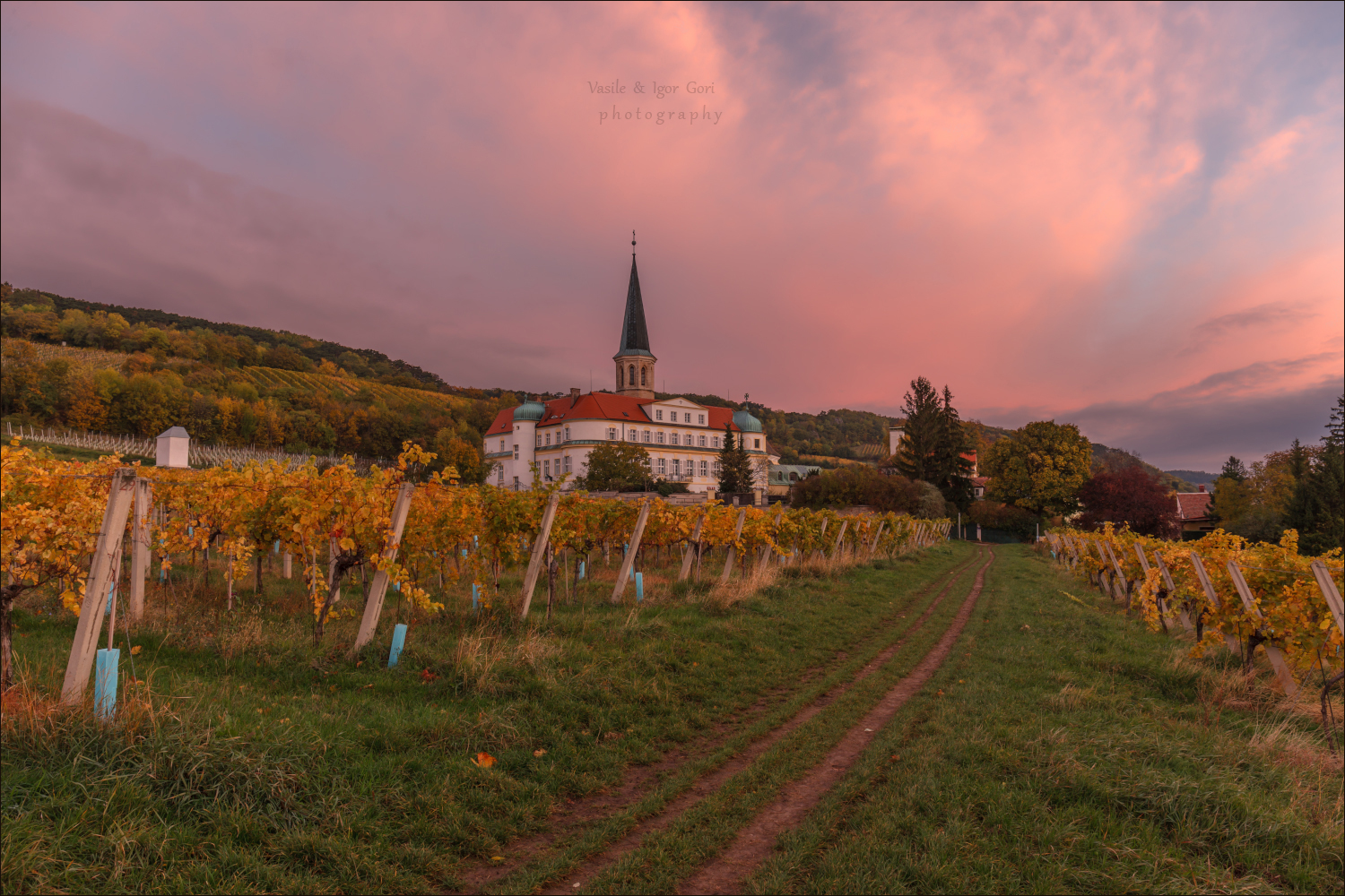 австрия,осень,аббатство,österreich,виноградники,morning,colors,rural,, Гори Василий