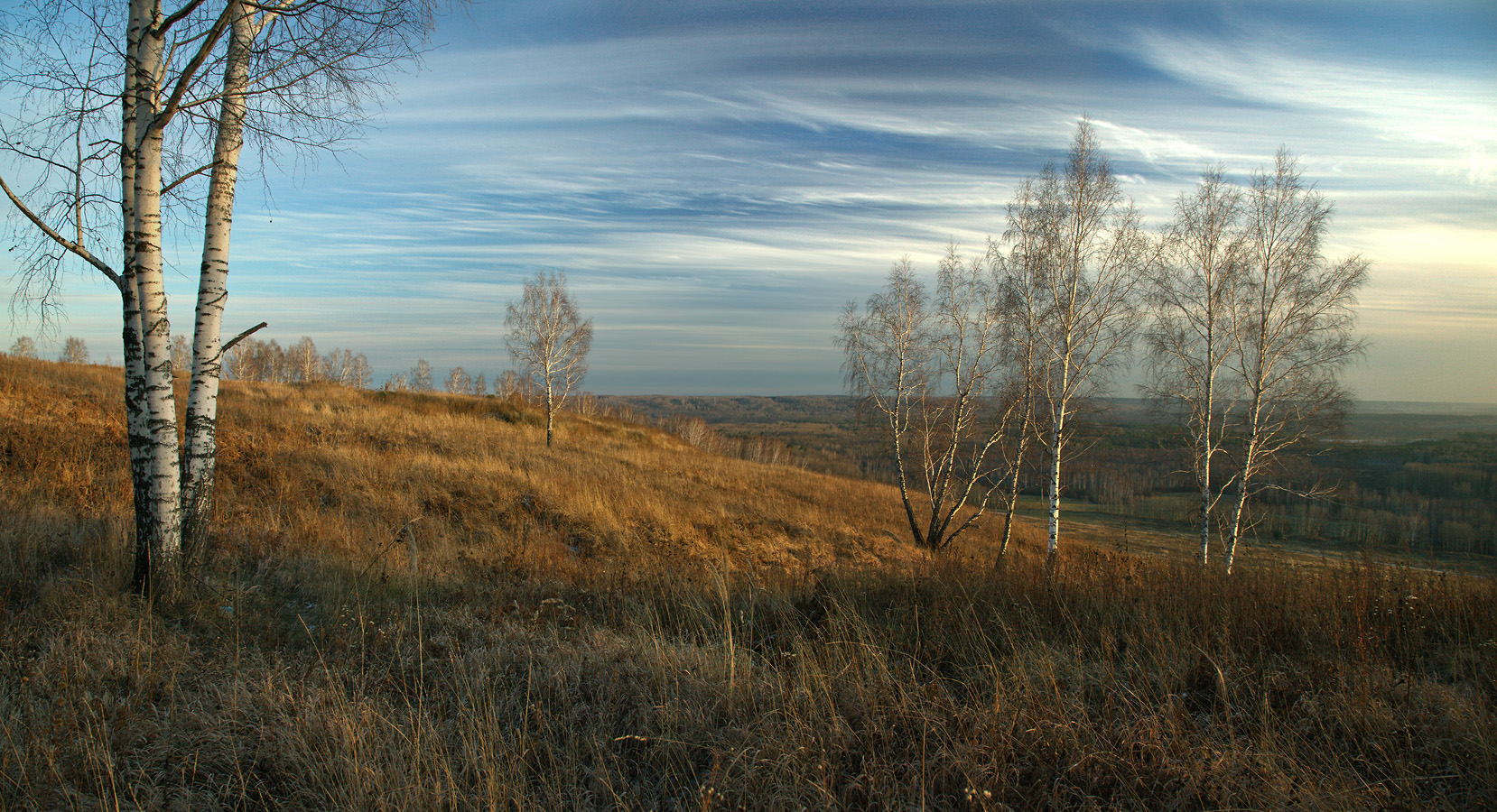 , Алексей Хахлов