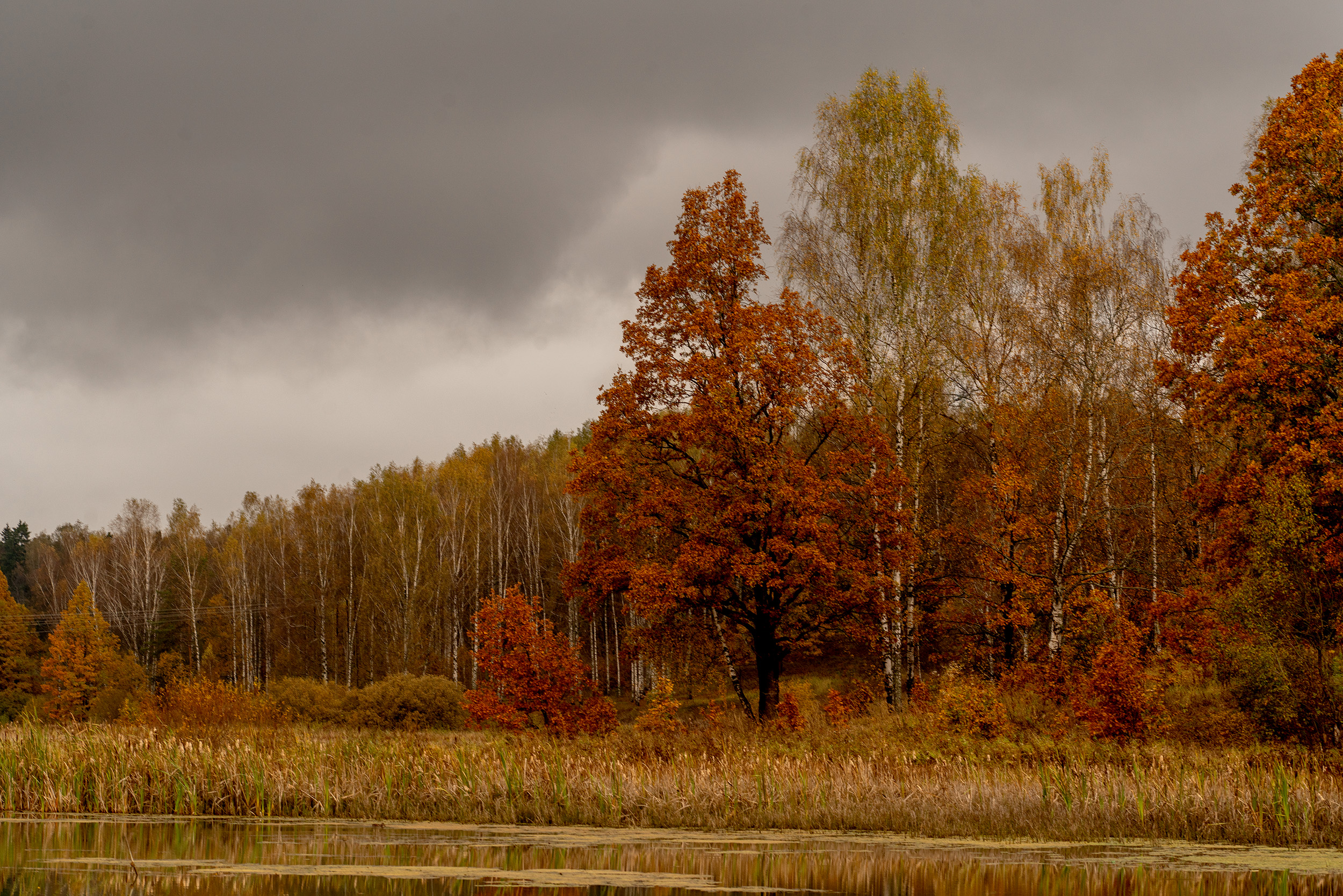 #landscape #autumn #пейзаж #осень, Мощенко Сергей