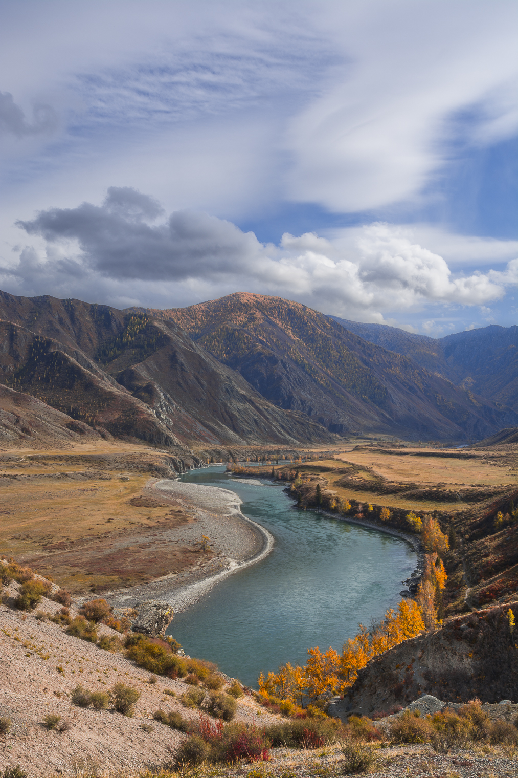 россия, горный алтай, река катунь, осень, Андрей Поляков