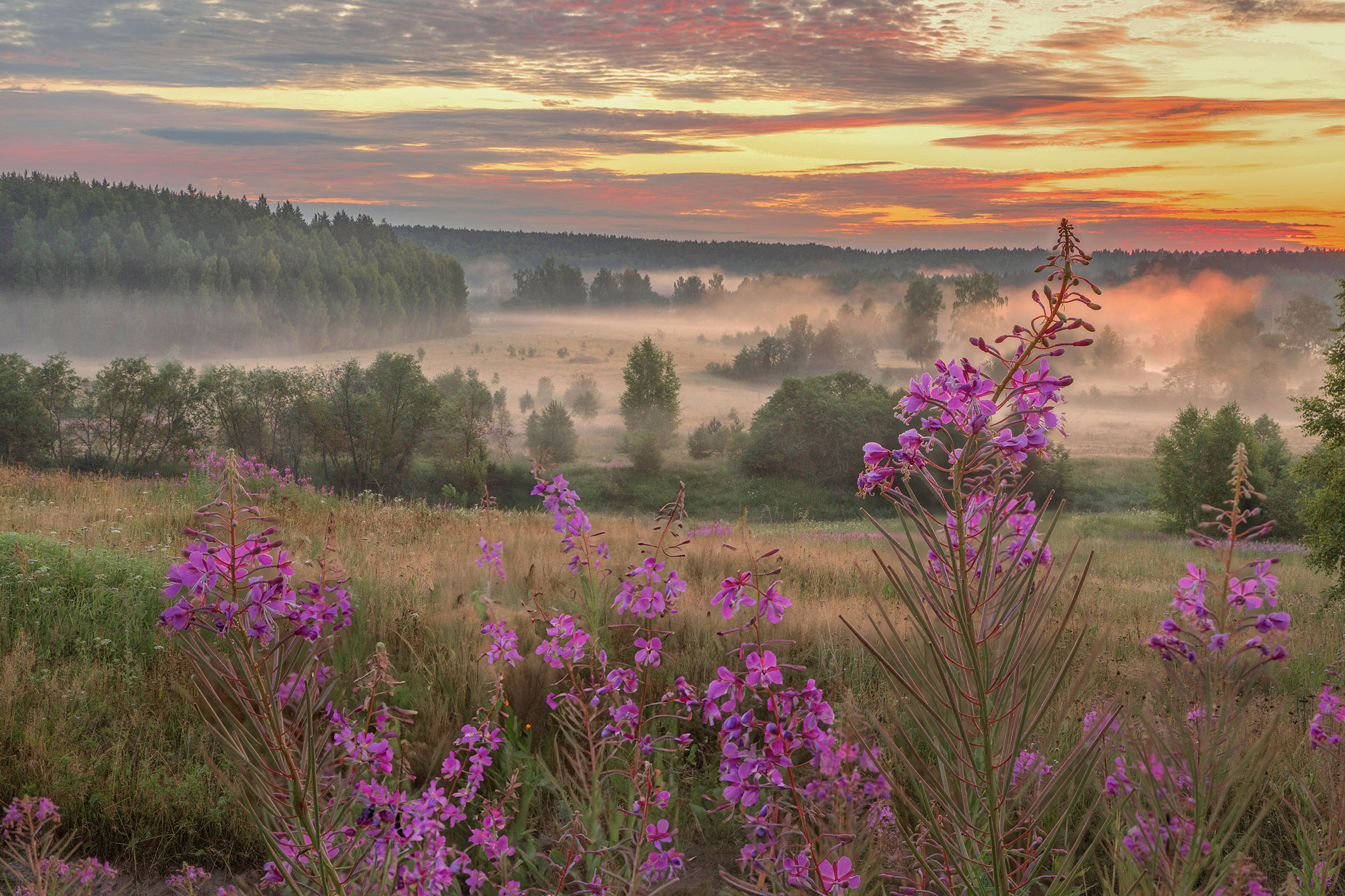 Фототуры с Владимиром Рябковым, #topnature #russpasibo #magic_shots #lovelyRussia #sunset_vision #exclusive_sky  #exclusive_shots #loves_russia2 #photoarena_nature #nature_sultans #nature_perfection #rsa_sky #rsa_sunset #photorussia #rsa_naturepics #sunse, Владимир Рябков