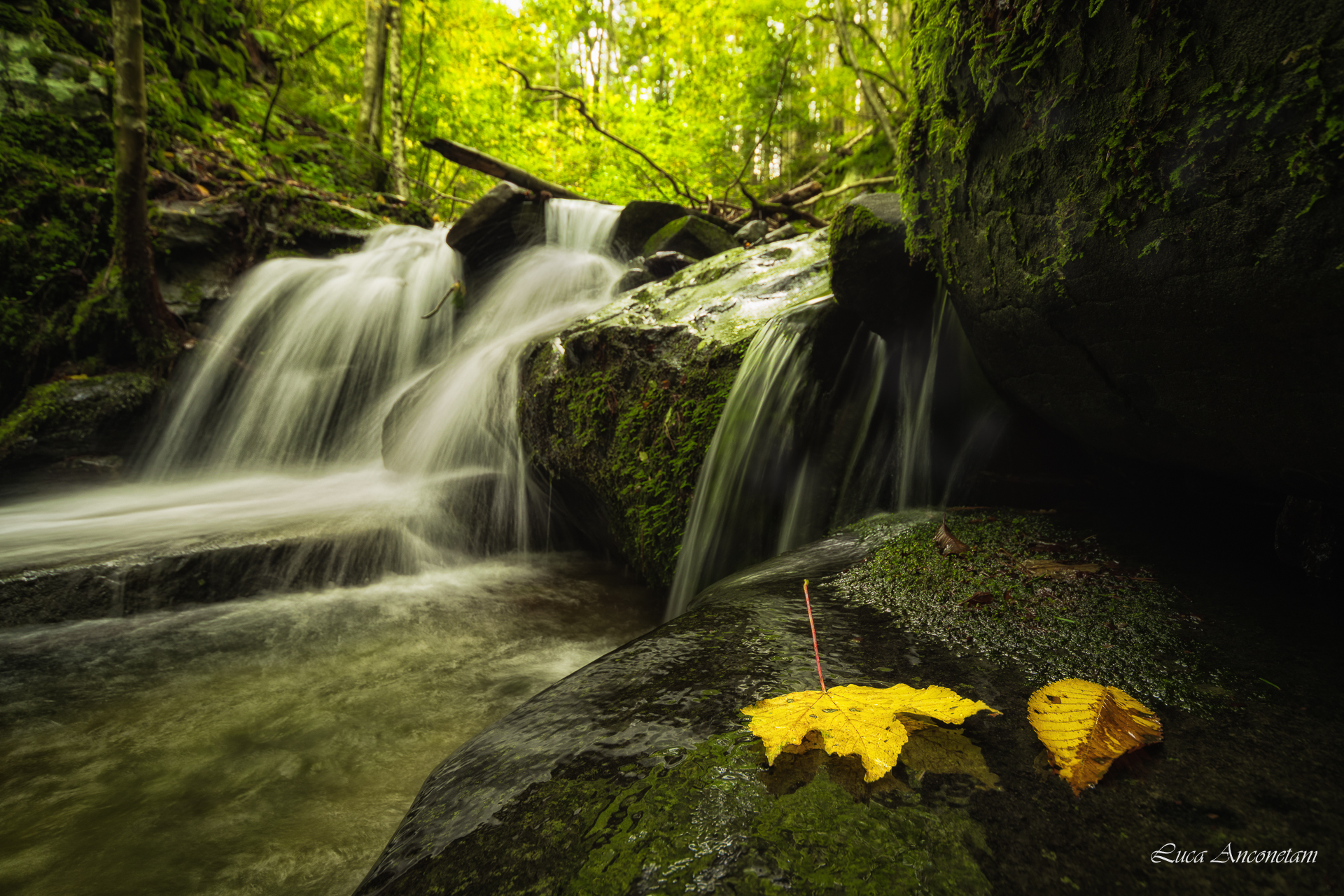 autumn nature water rocks italy tuscany, Anconetani Luca