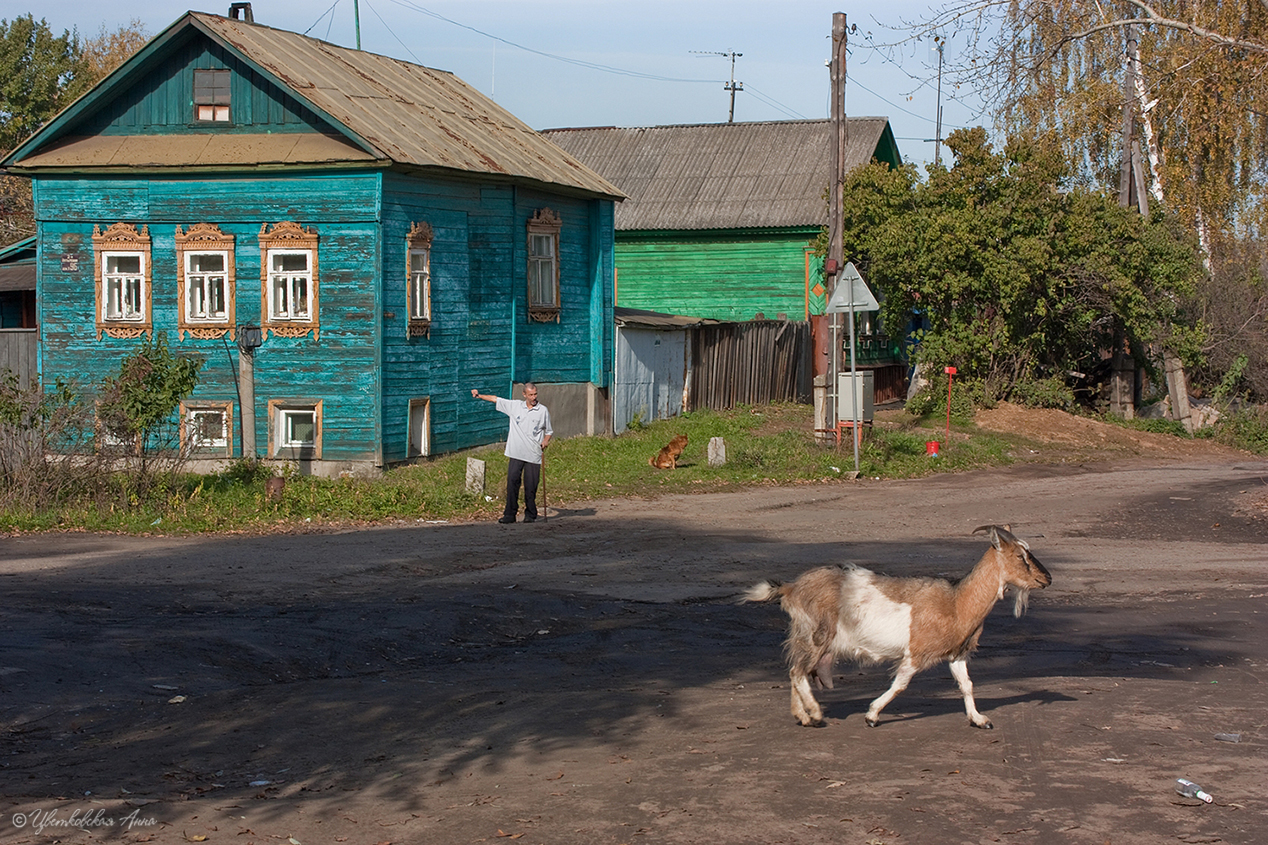 жанр, коза, мужчина, Анна Цветковская