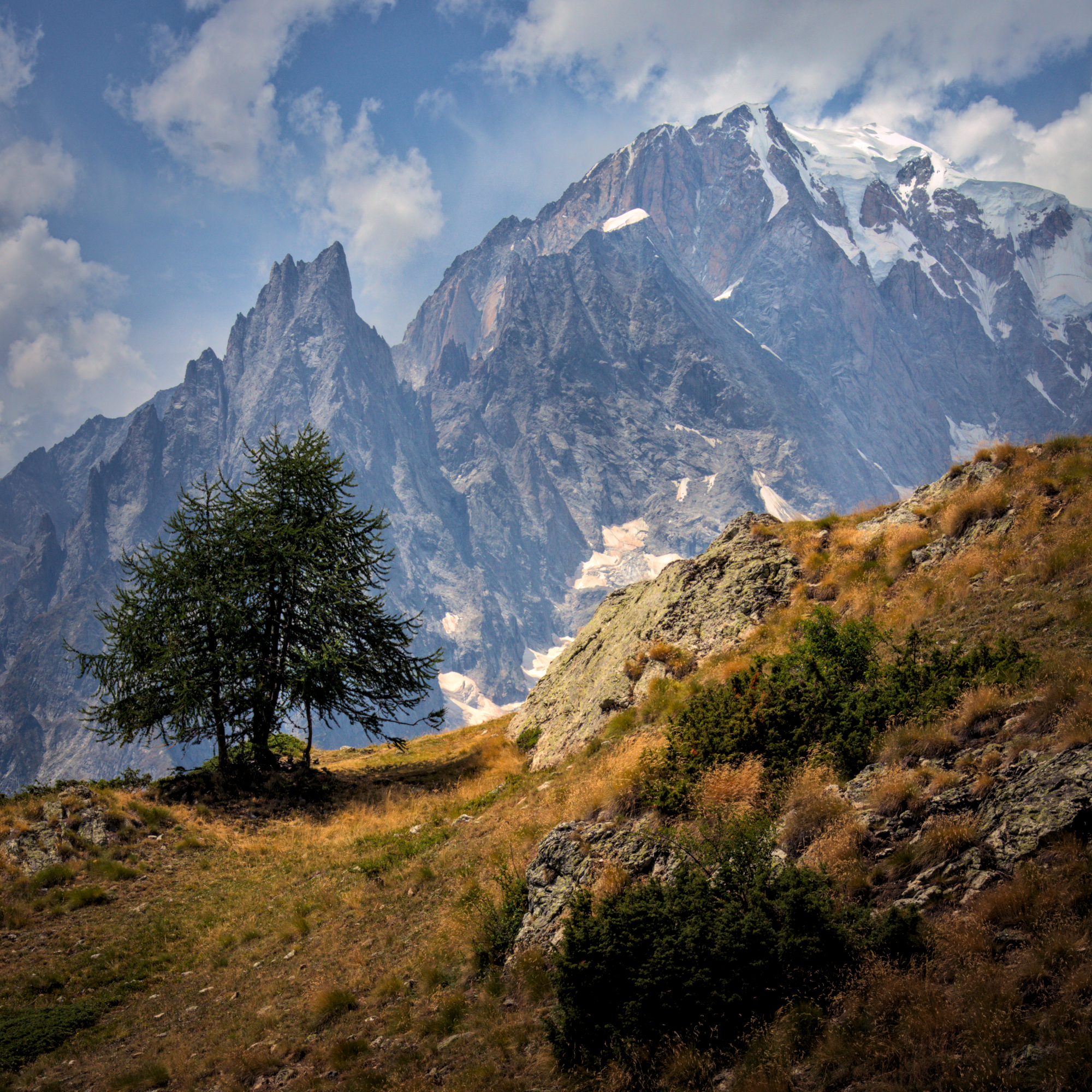 moutain,square,alps,trek,tree,peak,mont-blanc,italy, av peteghium