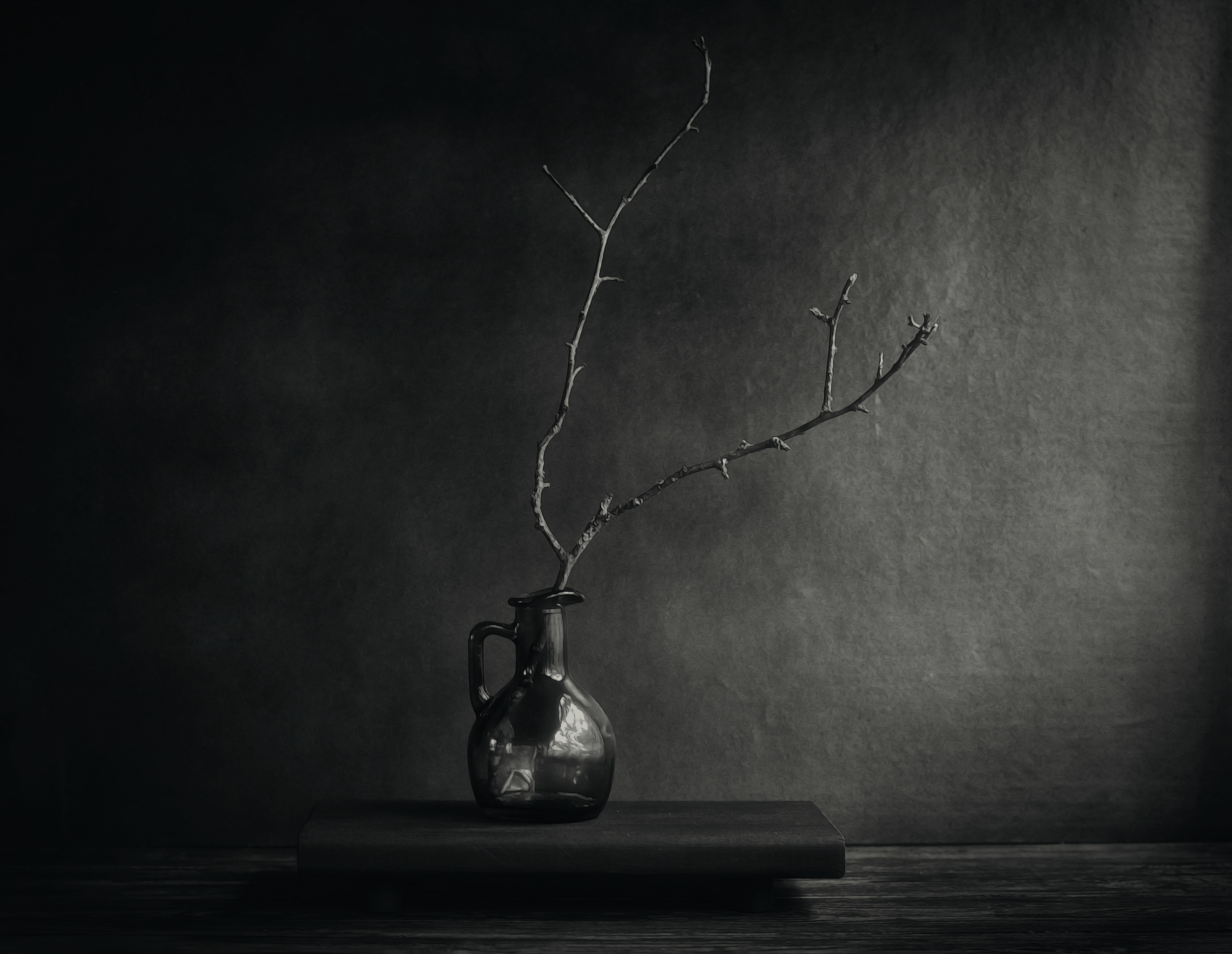 натюрморт, стекло , минимализм, цветы, колбочки, черно белое, minimalism, still life, jug, branch, black and white, Стасов Виталий