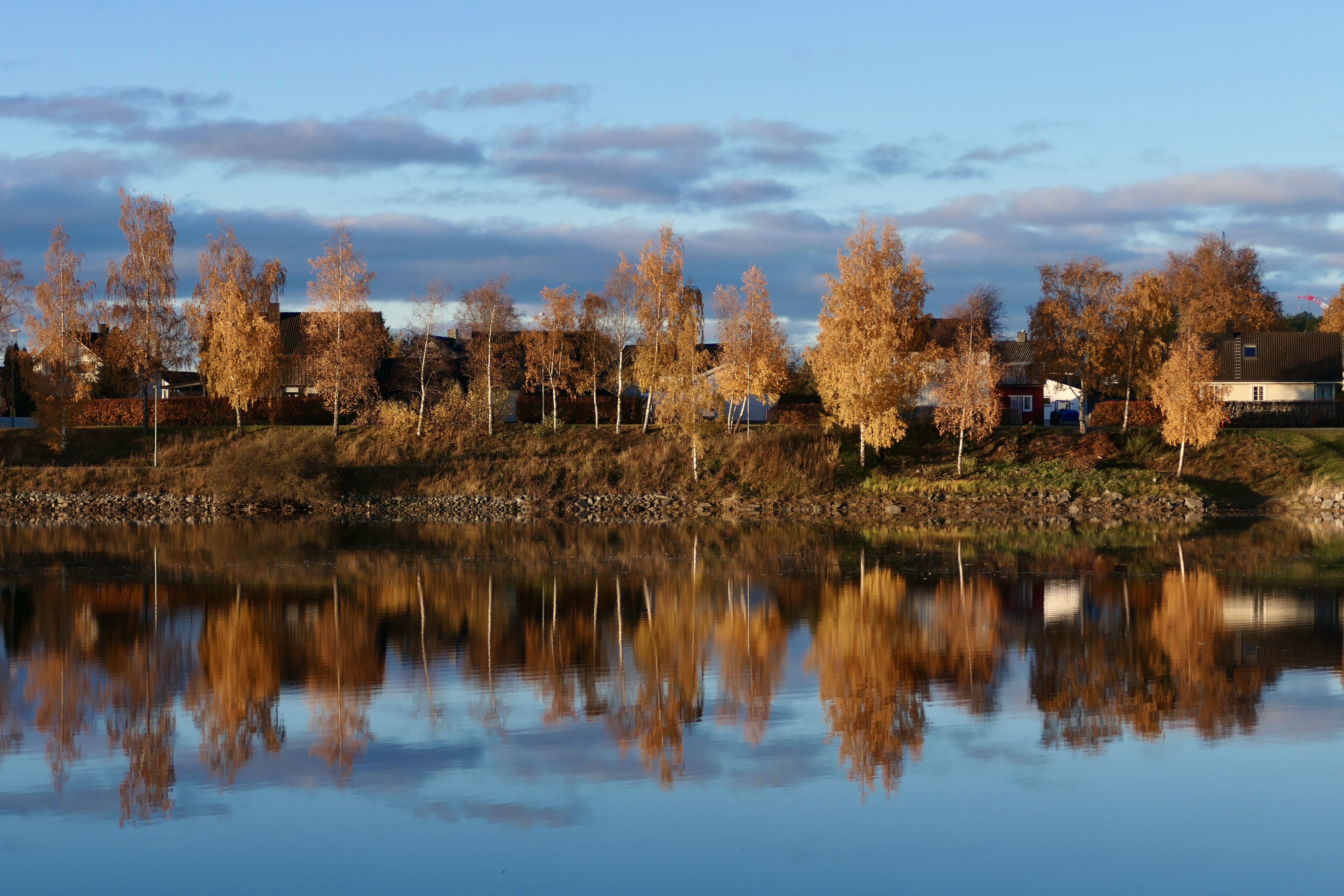 Landscapes, Autumn, Fall, Colors, Reflection, River, Norway, Leaves, Trees, , Svetlana Povarova Ree