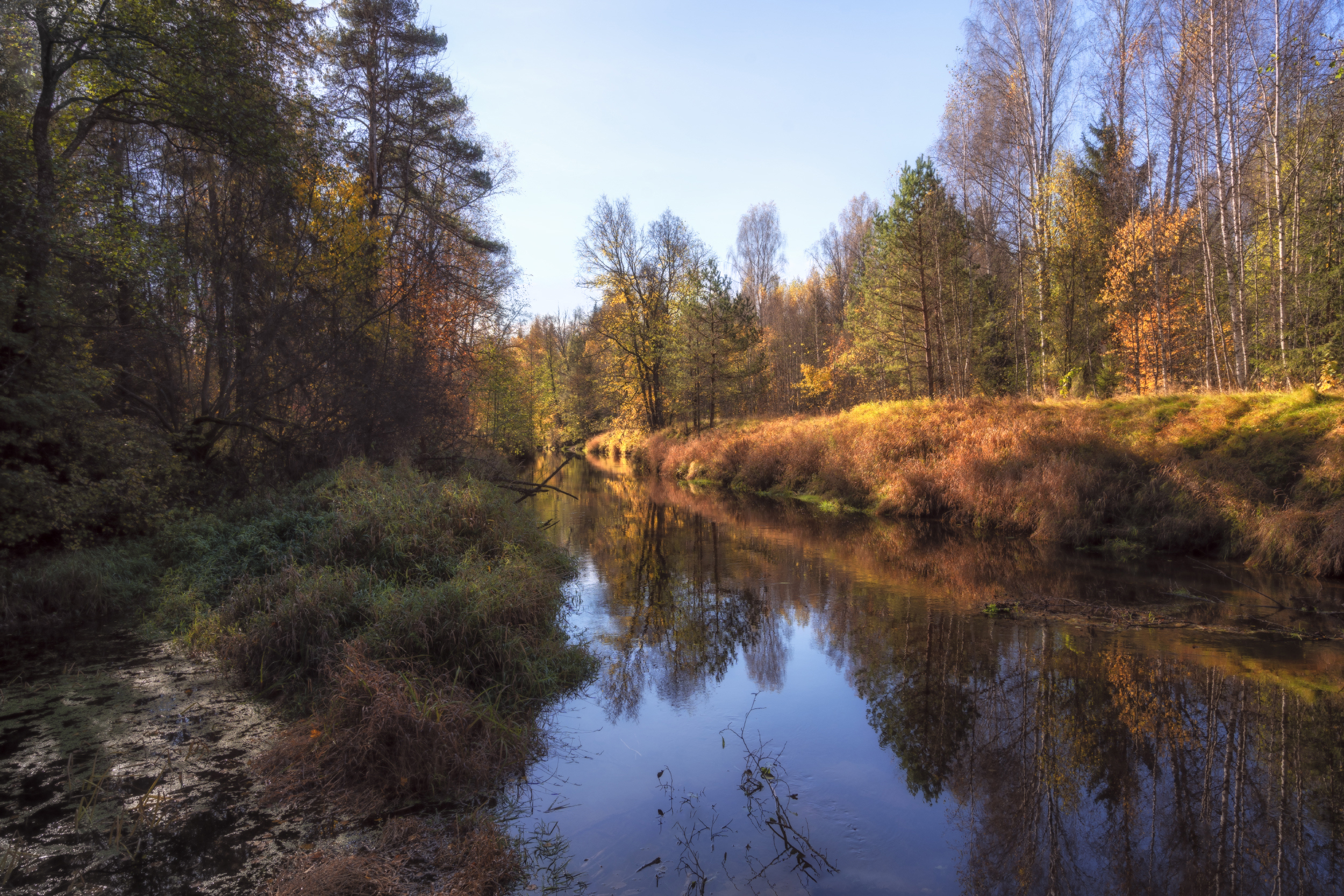 осень река лес, Колесов Андрей