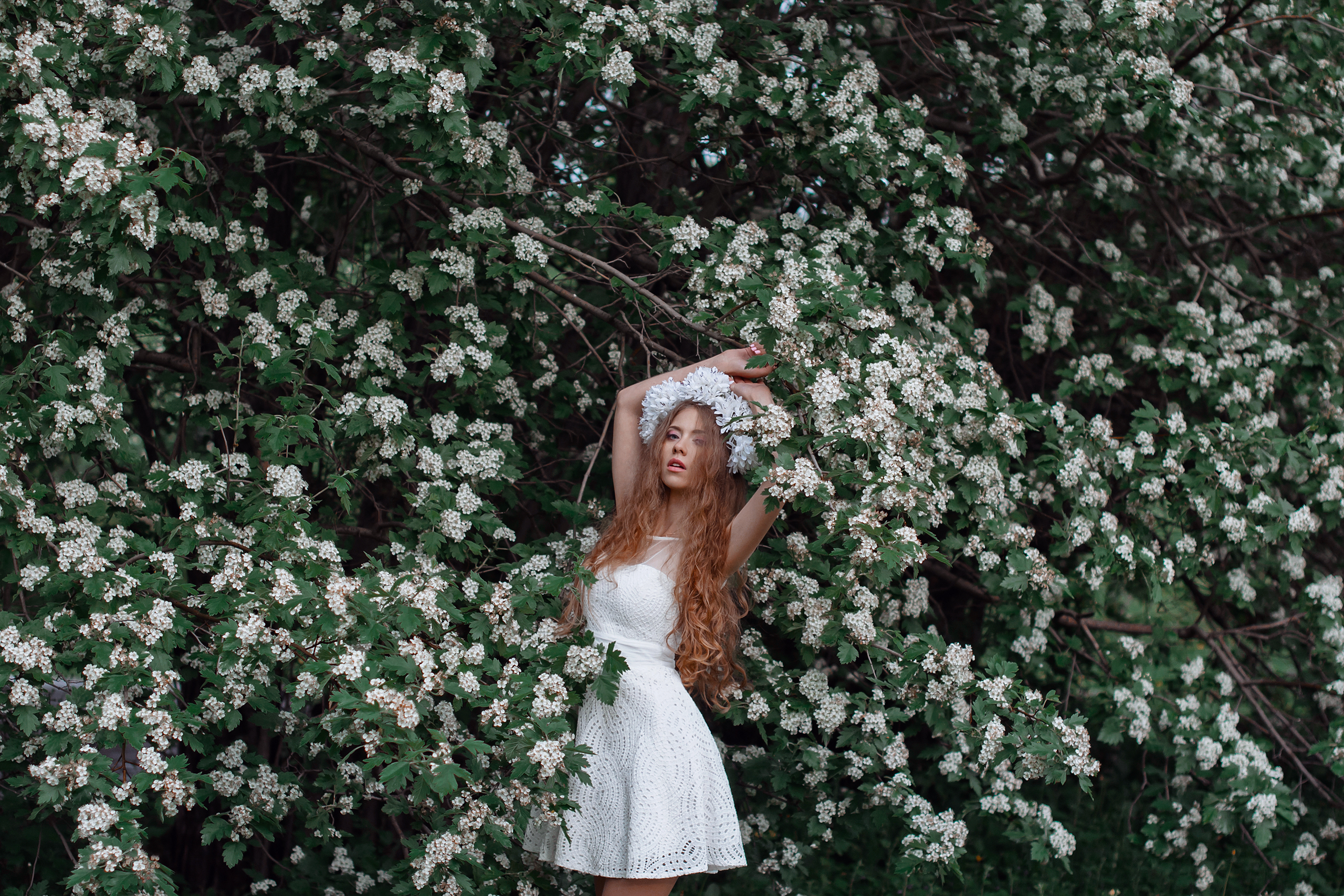 portrait, beauty, girl, model, woman, female, fashion, light, gentle,  Kerry Moore