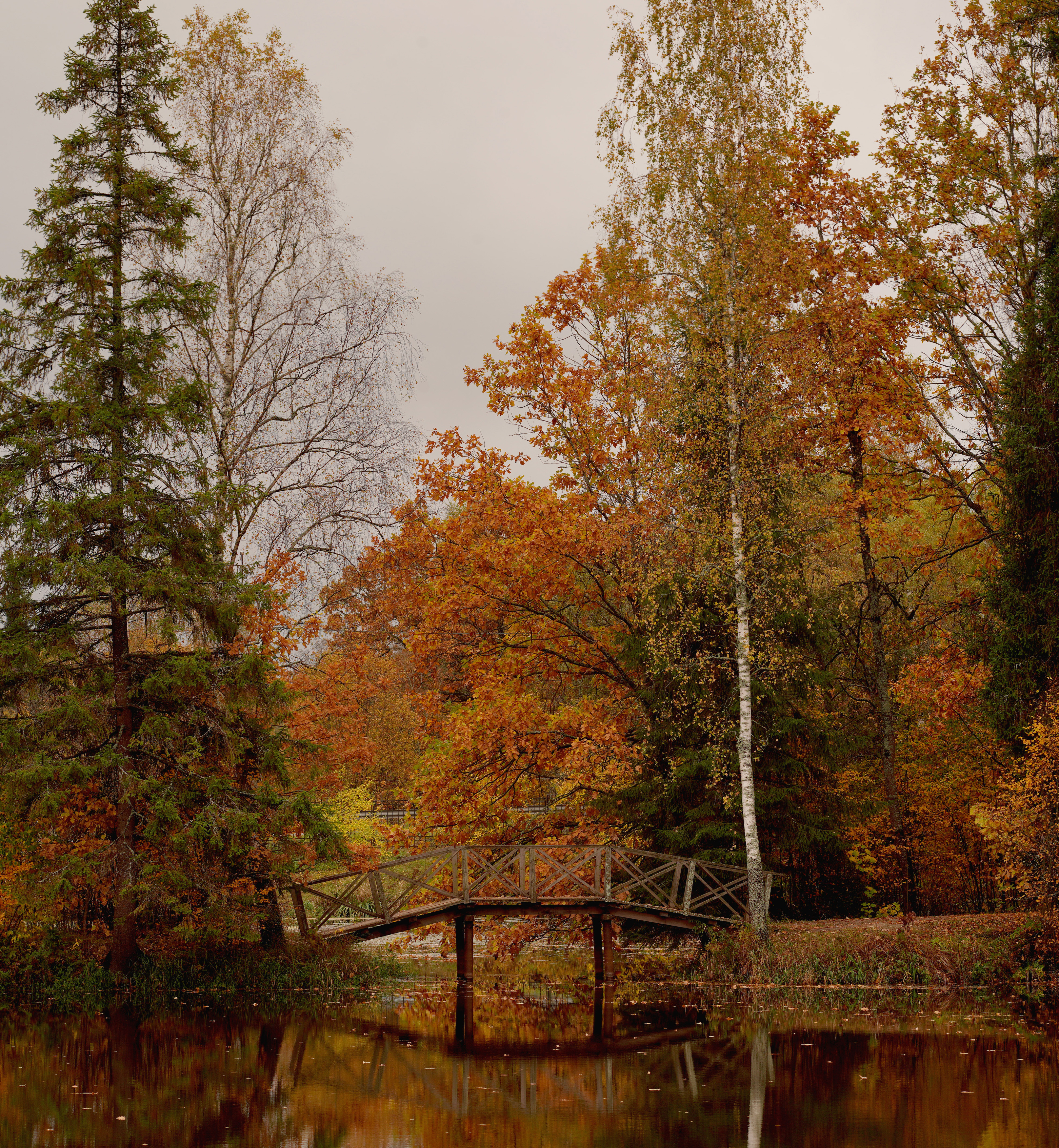 #landscape #autumn #пейзаж #осень, Мощенко Сергей