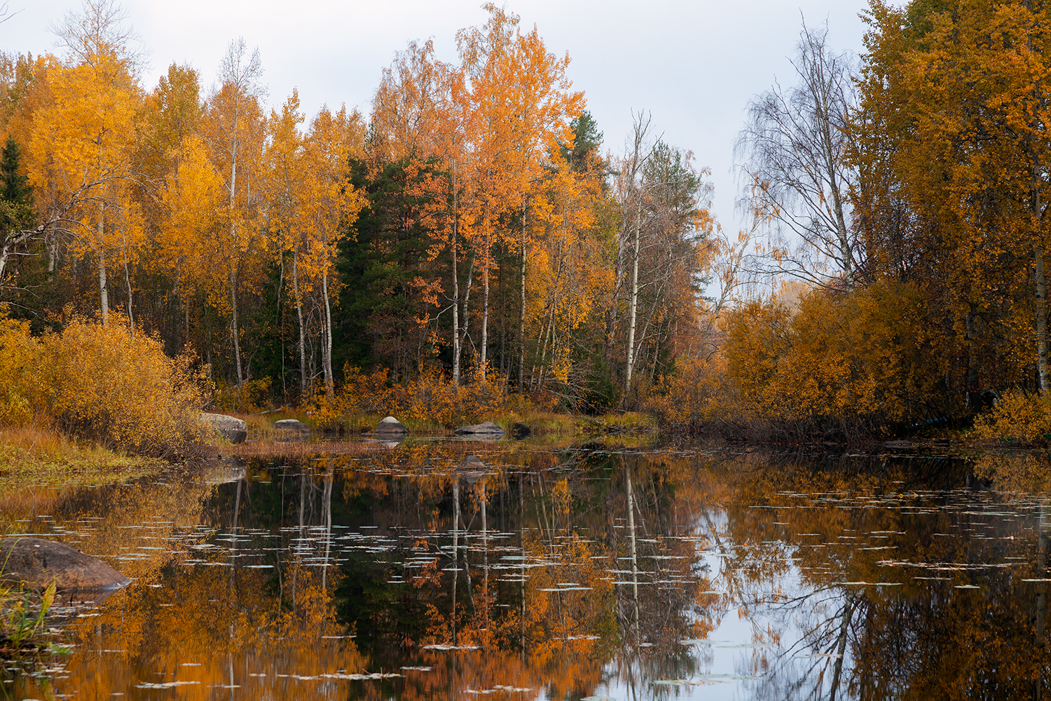 autumn, russia, vuoksi, landscape, Медведникова Мария