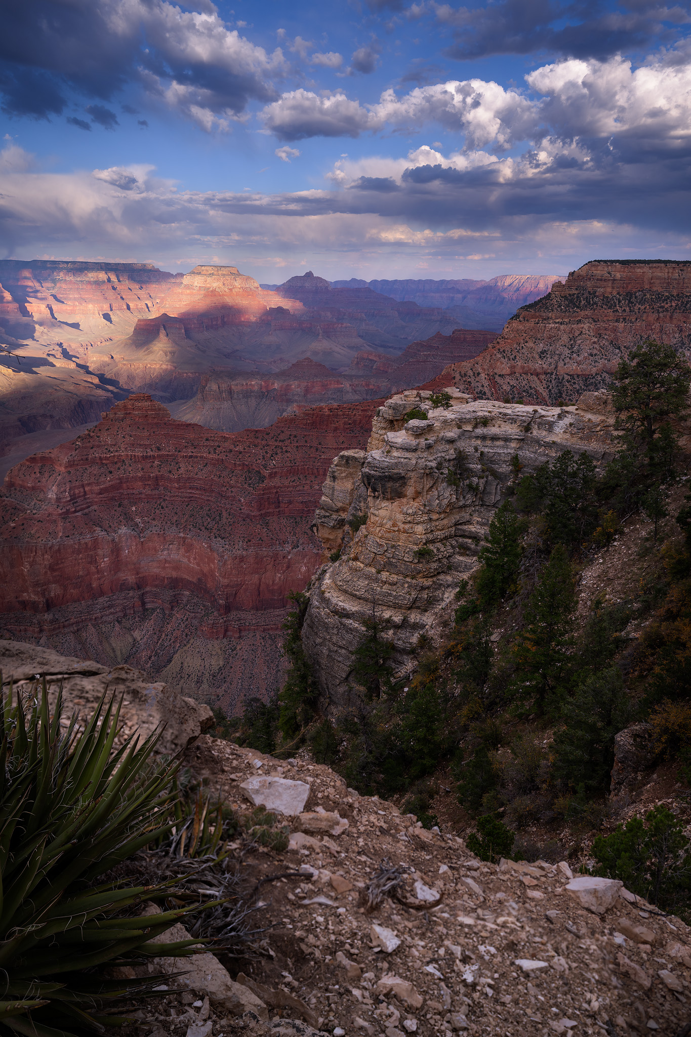 grand canyon, usa, arizona,, Gubski Alexander