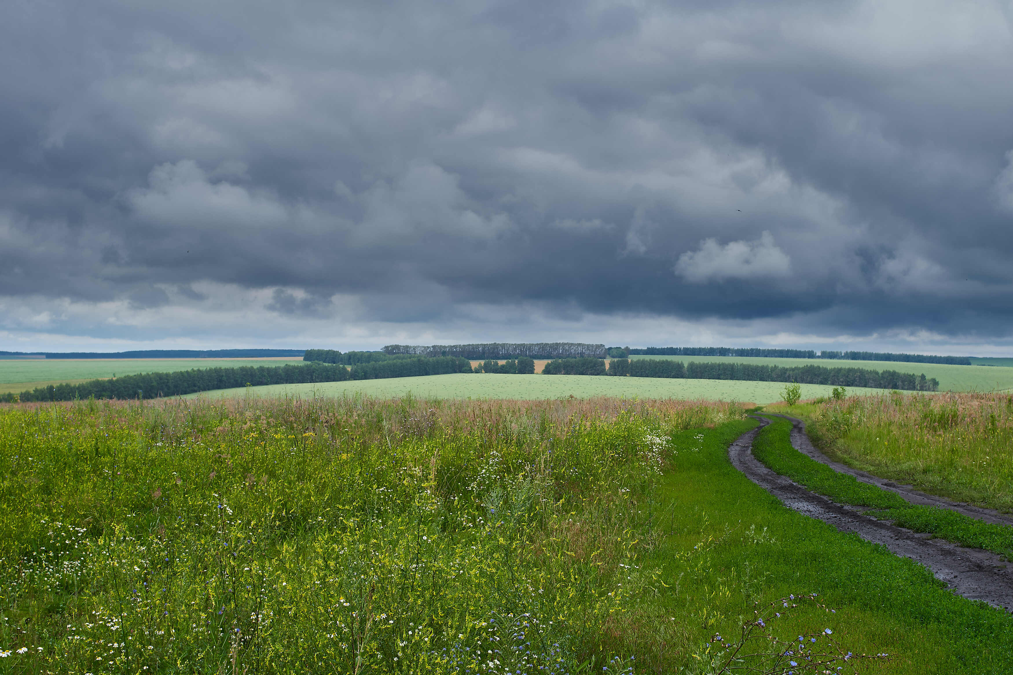 volgograd, russia, landscapes, , Павел Сторчилов