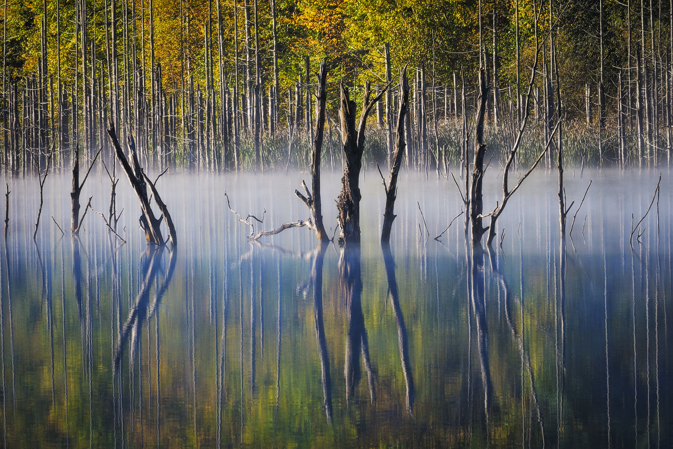 , Stefan Chirobocea