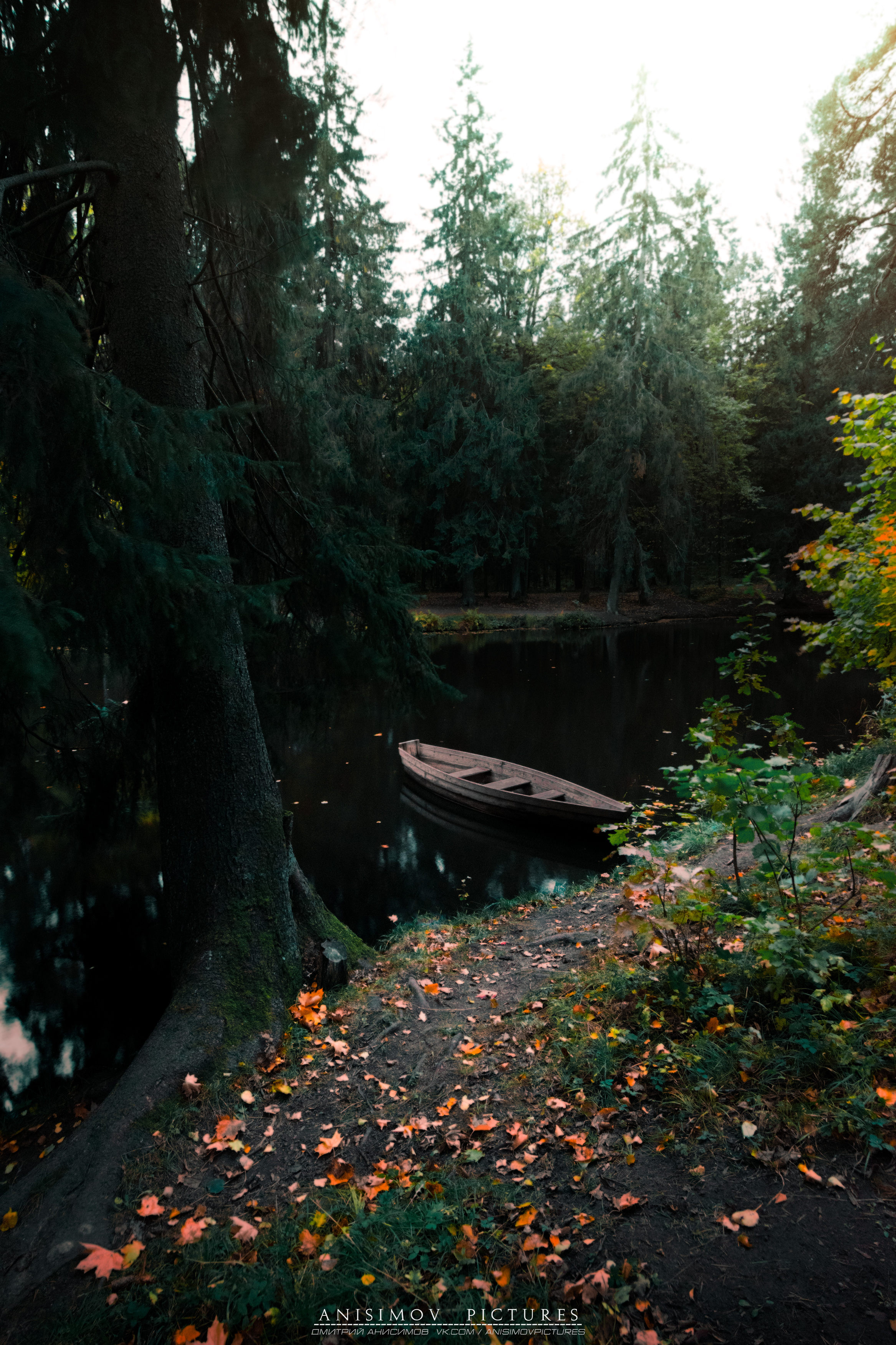 пейзаж, санкт-петербург, nikon, лес, лодка, золотая осень, Dmitriy Anisimov