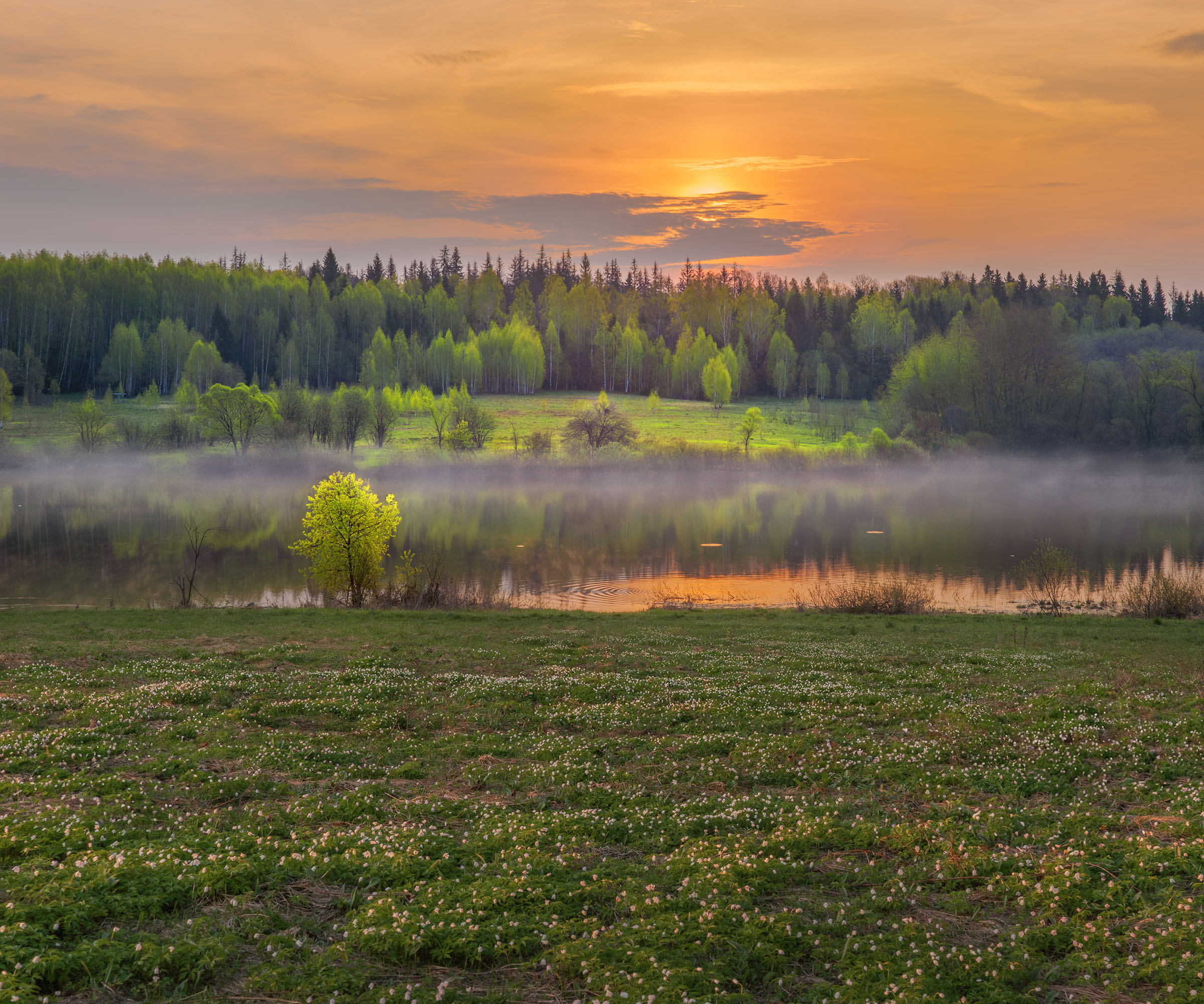 Фототуры с Владимиром Рябковым, #topnature #russpasibo #magic_shots #lovelyRussia #sunset_vision #exclusive_sky  #exclusive_shots #loves_russia2 #photoarena_nature #nature_sultans #nature_perfection #rsa_sky #rsa_sunset #photorussia #rsa_naturepics #sunse, Владимир Рябков