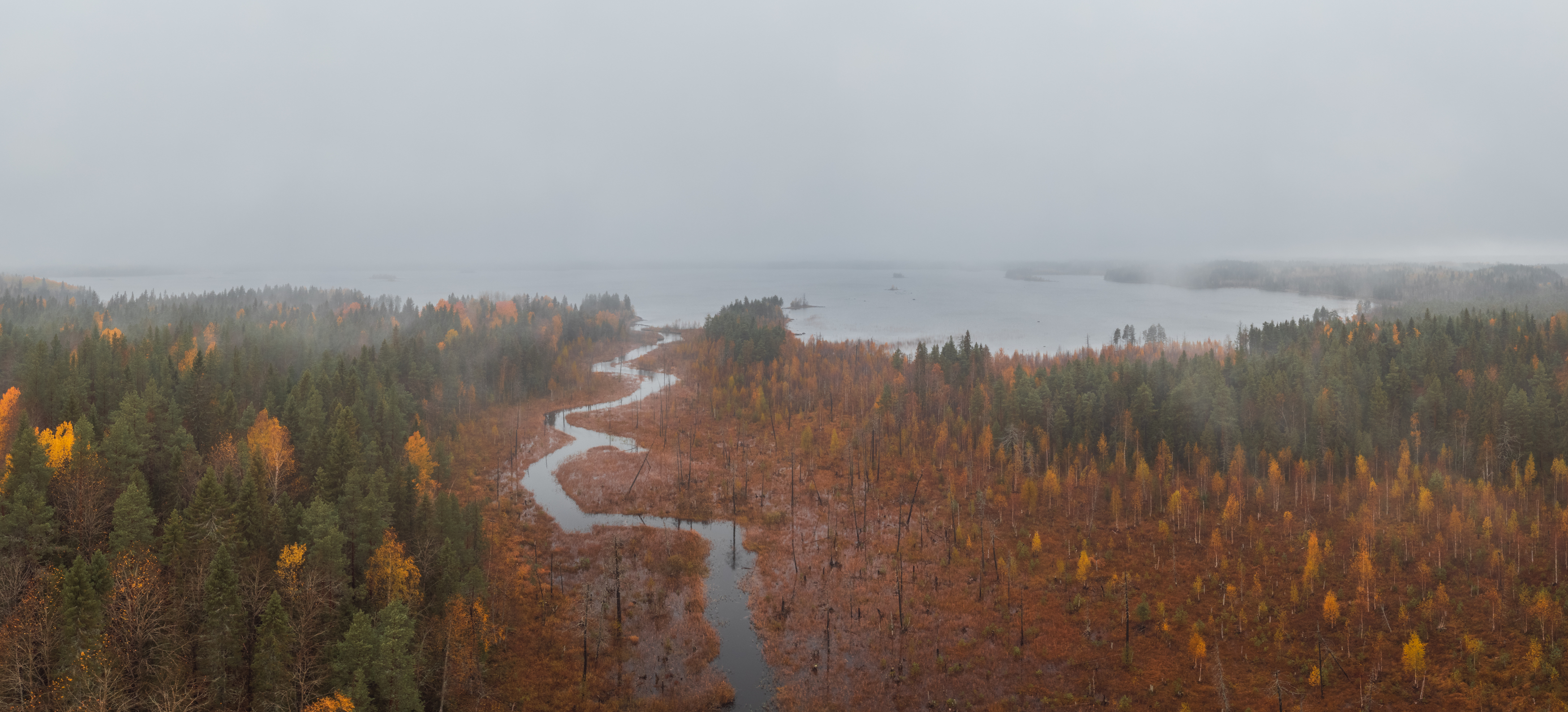 Лес, озеро, осень, река, Denis Koshkin