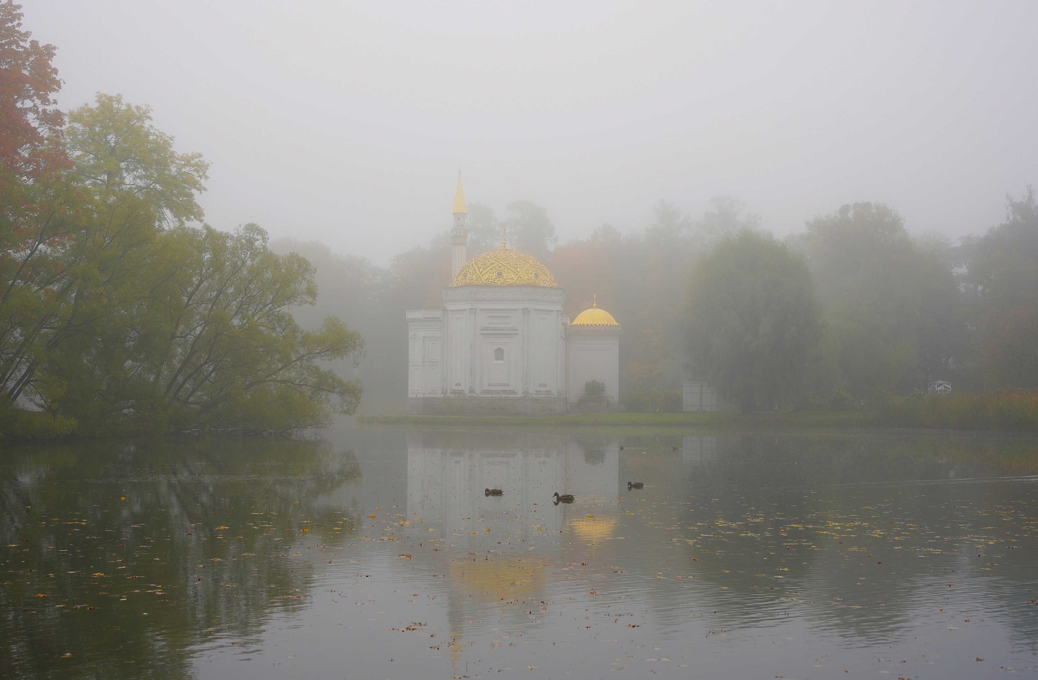 ,  Сергей Андреевич