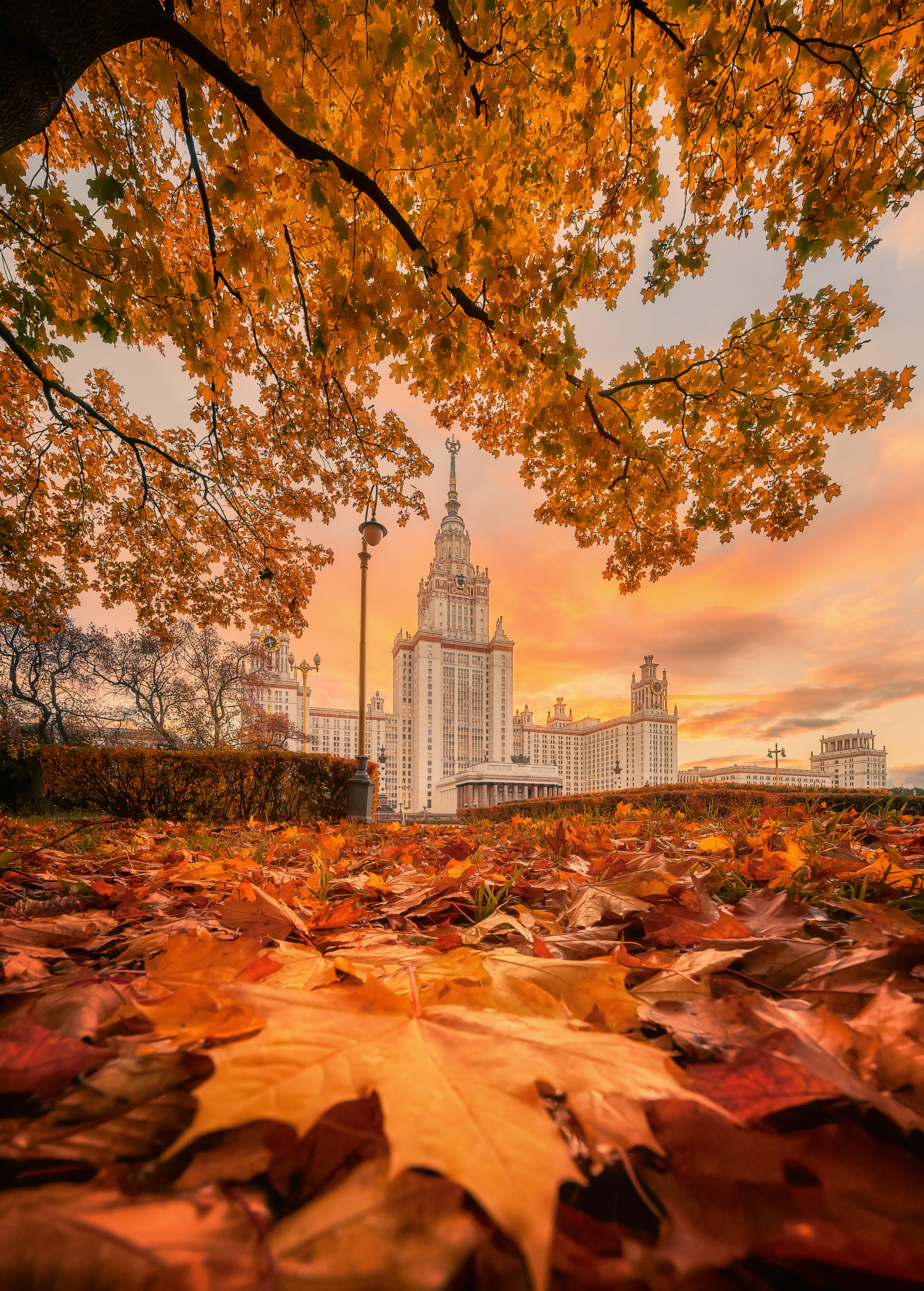 могу. золотая осень, Москва, autumn, moscow, Анастасия Мазурева