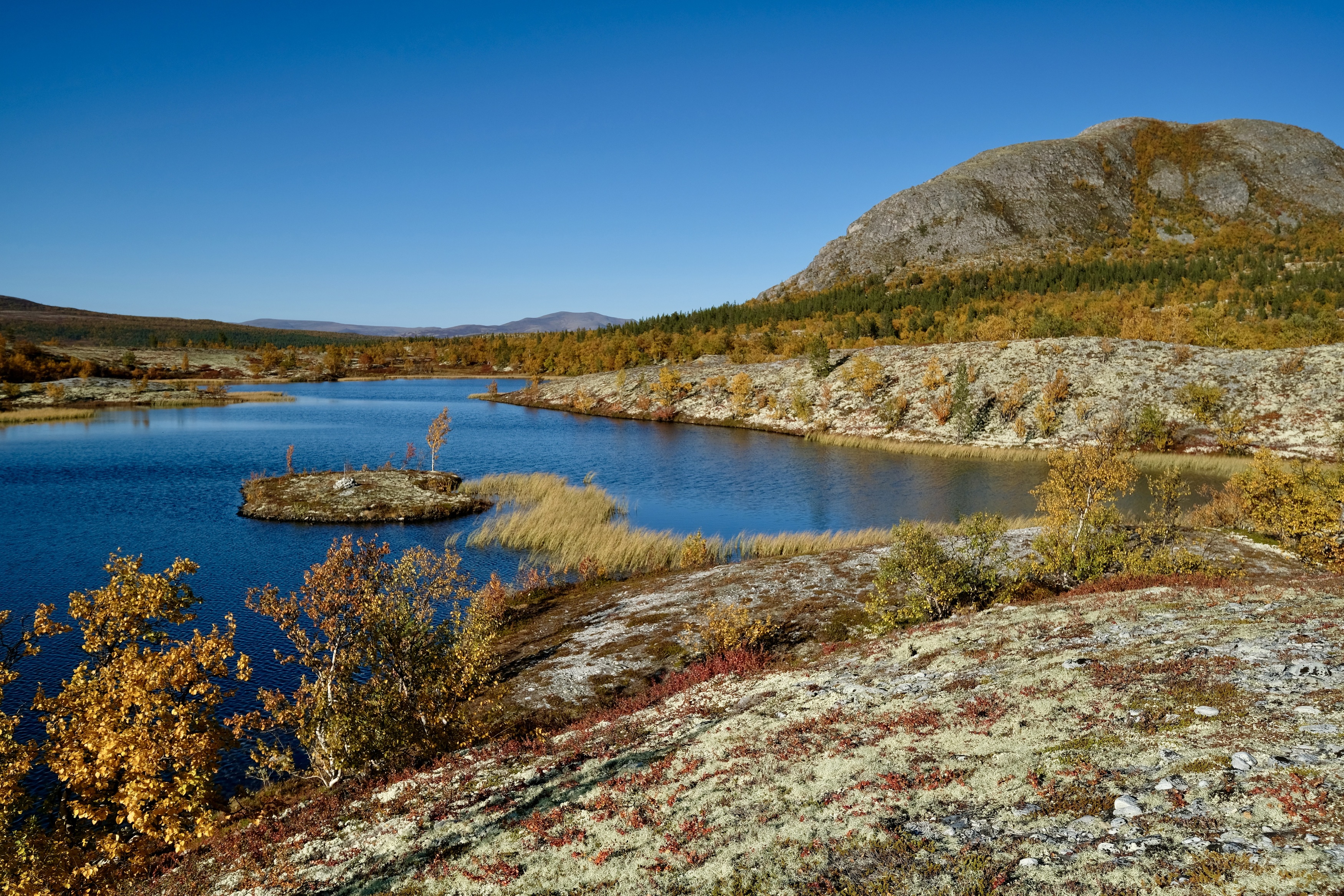 Landscapes, Norway, nature, colors, Autumn, Fall, water, Lake, Rondane, , Svetlana Povarova Ree