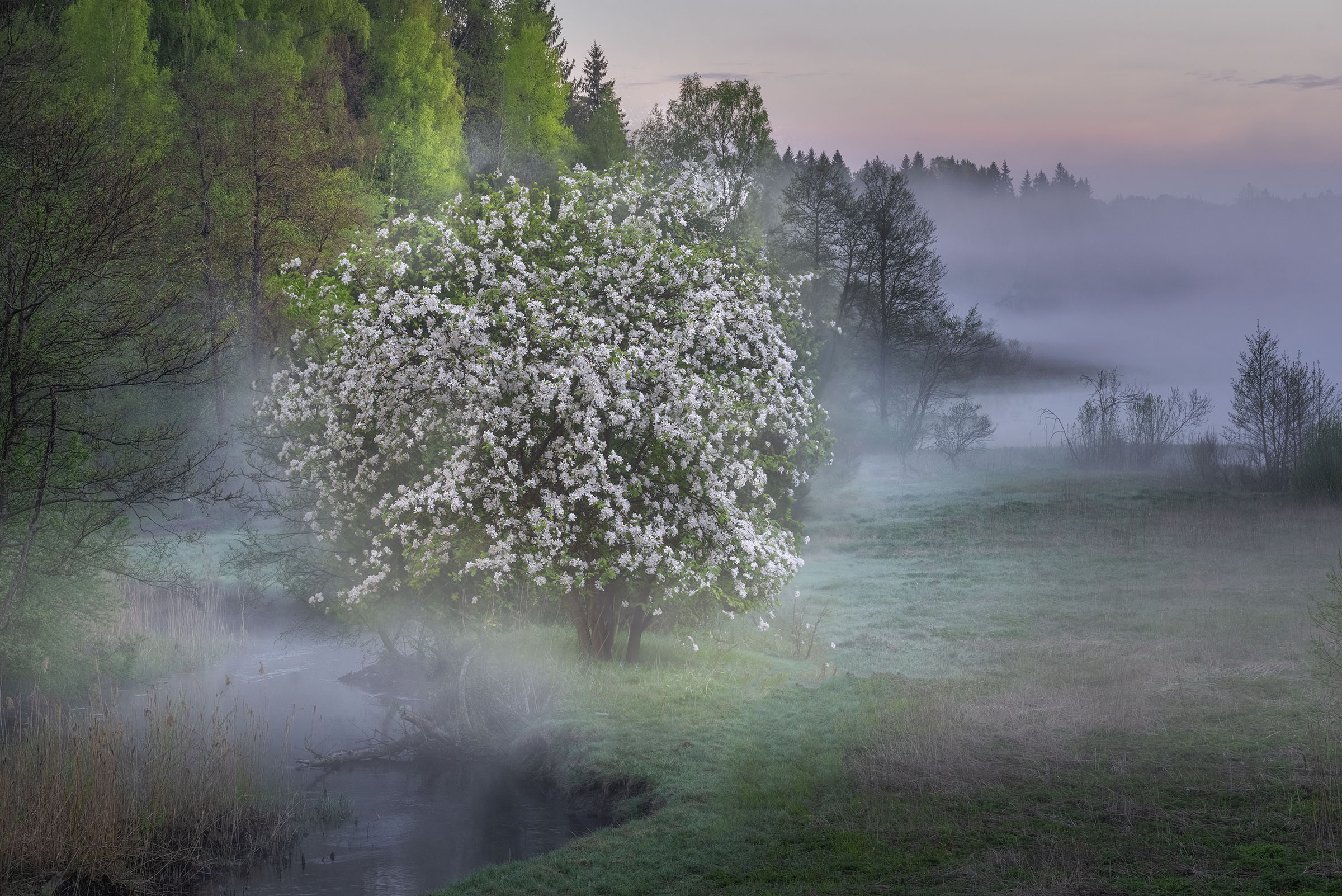 Фототуры с Владимиром Рябковым, #topnature #russpasibo #magic_shots #lovelyRussia #sunset_vision #exclusive_sky  #exclusive_shots #loves_russia2 #photoarena_nature #nature_sultans #nature_perfection #rsa_sky #rsa_sunset #photorussia #rsa_naturepics #sunse, Владимир Рябков