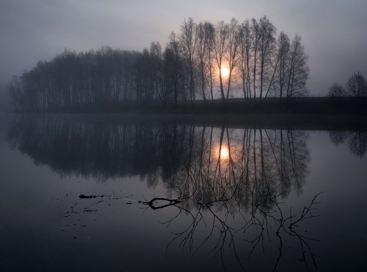 лес, свет, утро, природа, Баранов Олег