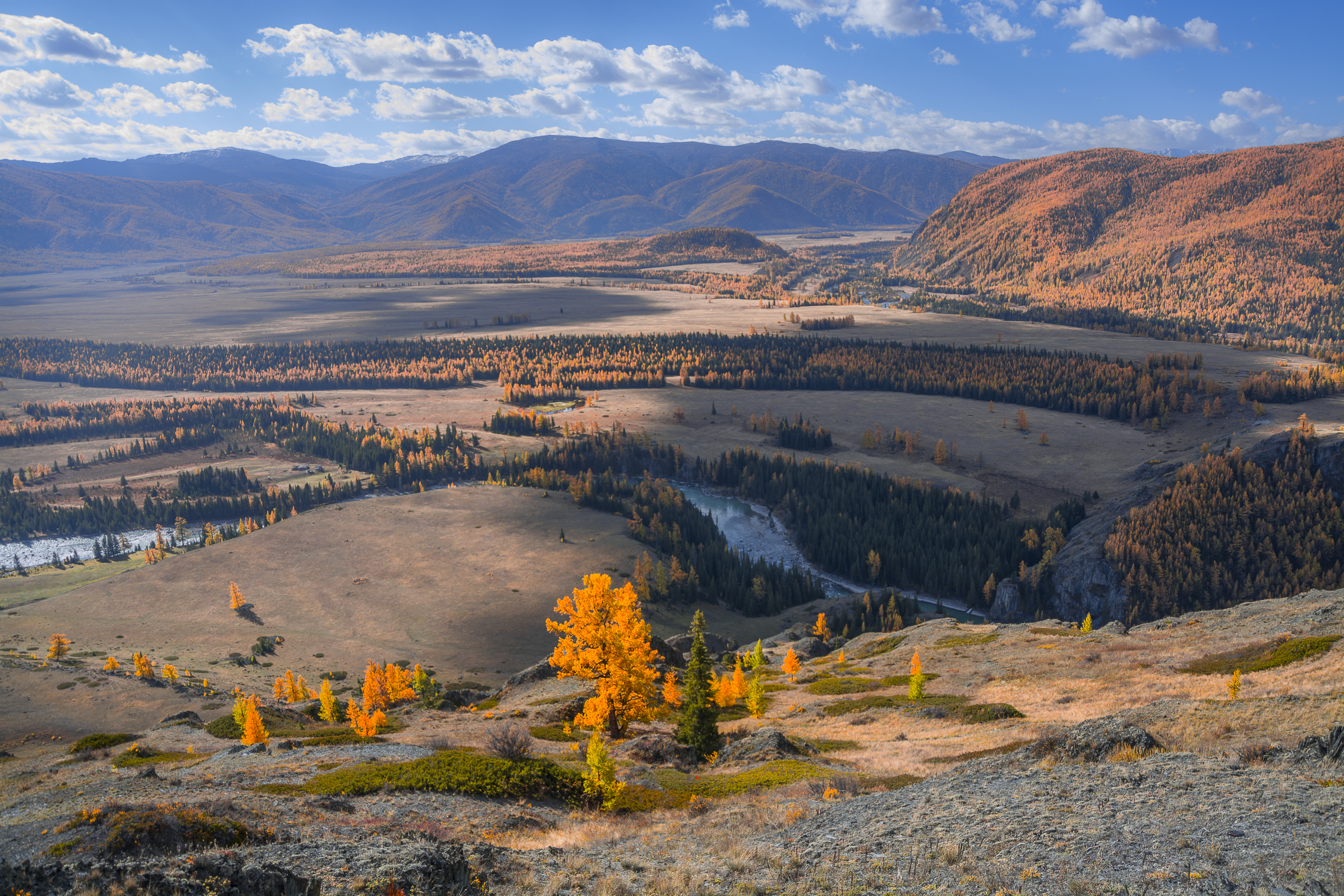 россия, горный алтай, степь самаха, осень, Андрей Поляков