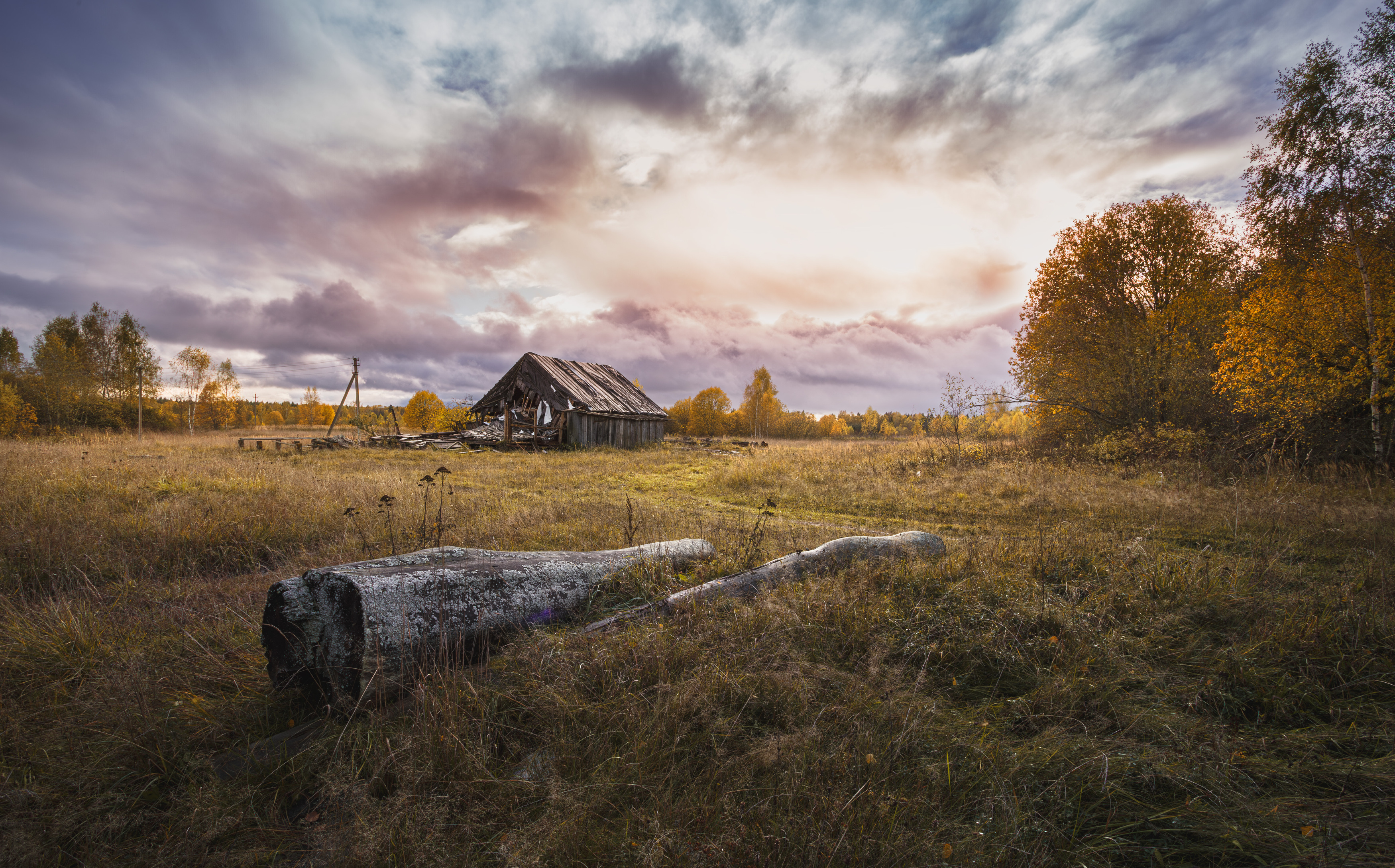 осень смоленская обл. торбеево, Зеленько Дмитрий