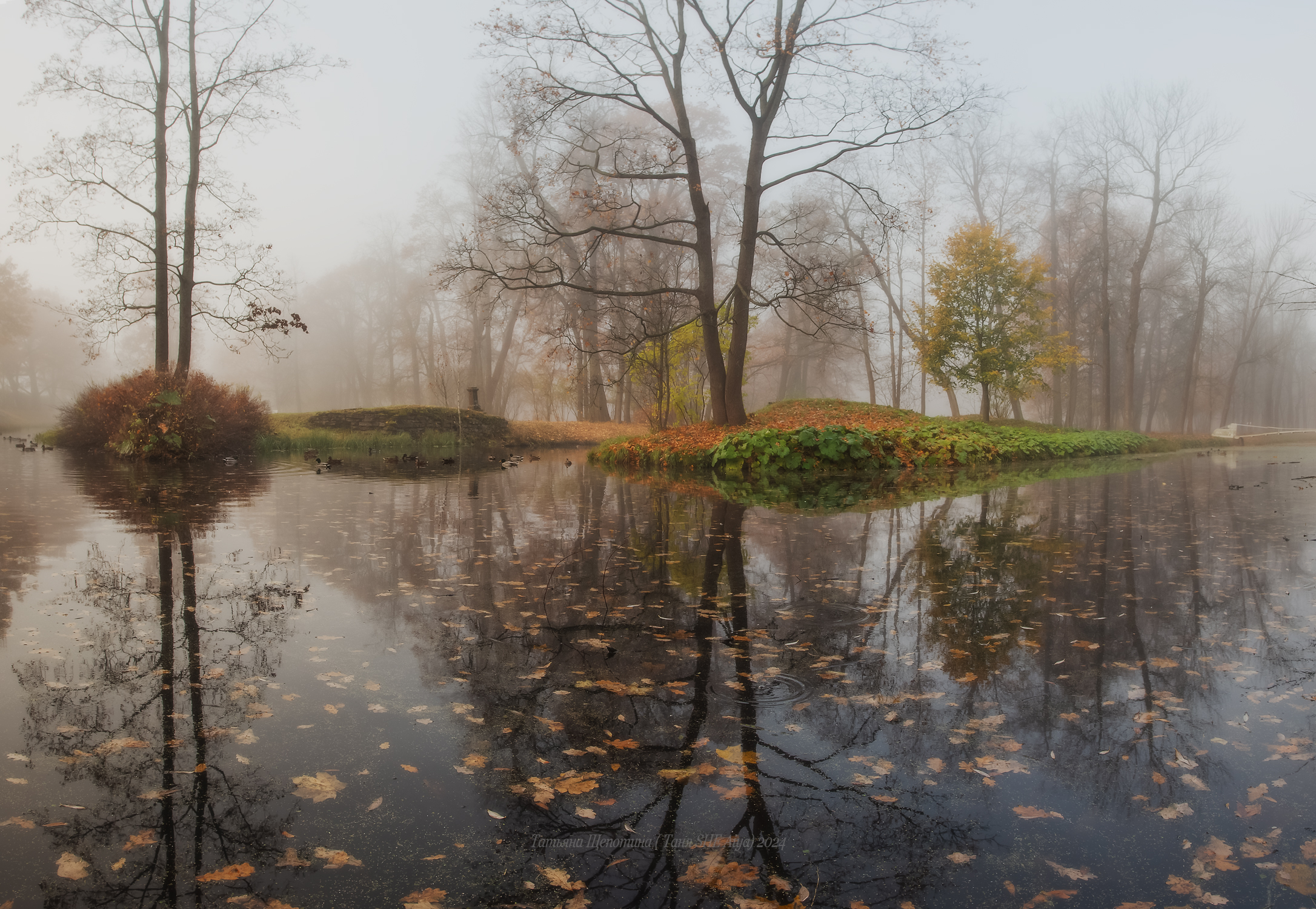 питер, пушкин, царское село, царское,  landscape, tsarskoye selo, autumn,  городской пейзаж, санкт-петербург, закат, александровский парк, Щепотина Татьяна