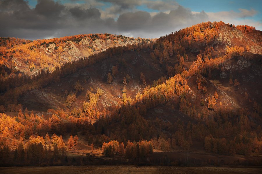 Алтай, Горы, Золотая осень, Осень, Алексей Бушов