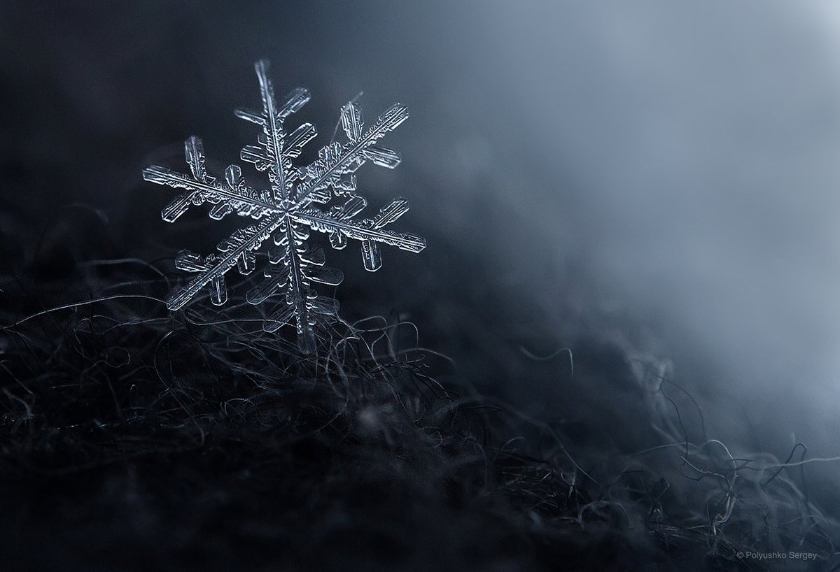 ice, snowflake, winter, зима, снежинка, Полюшко Сергей