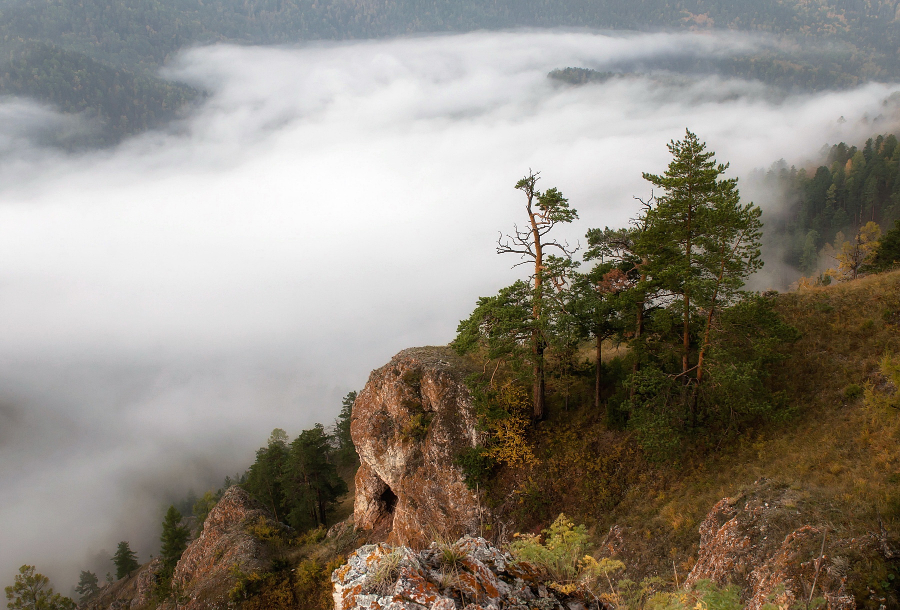 осень, торгашинский хребет, туман, рассвет, сибирь, Фомина Марина