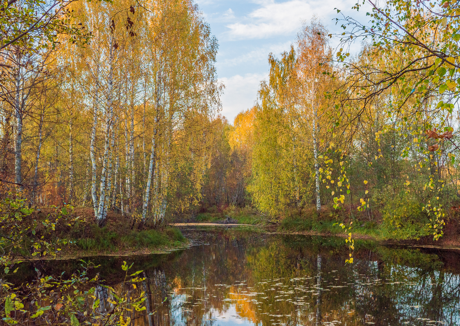 природа, пейзаж, сентябрь, республика коми, сыктывкар, Mysov Ivan