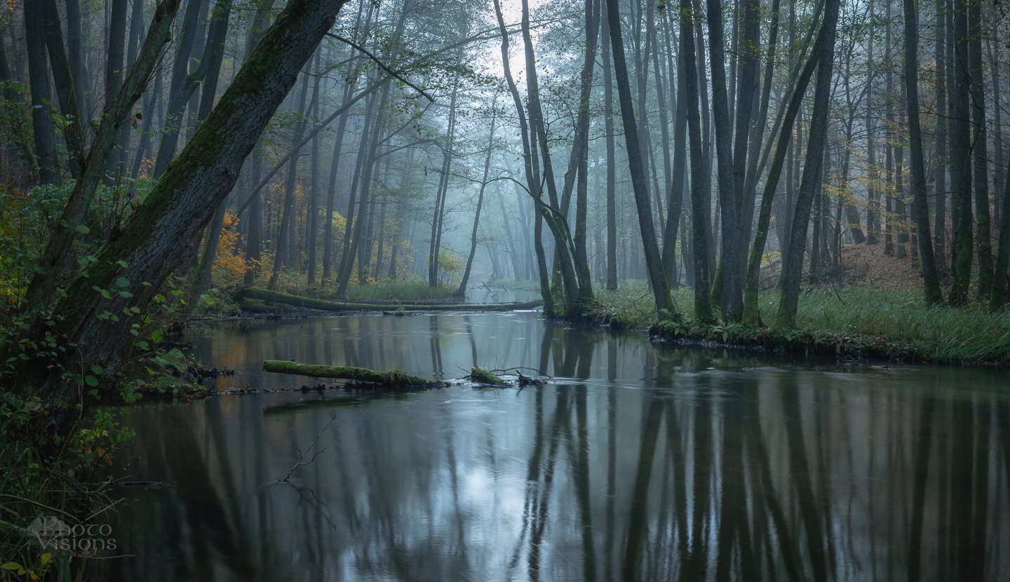 river,forest,woodland,woods,trees,reflections,water,autumn,autumnal,, Photo Visions