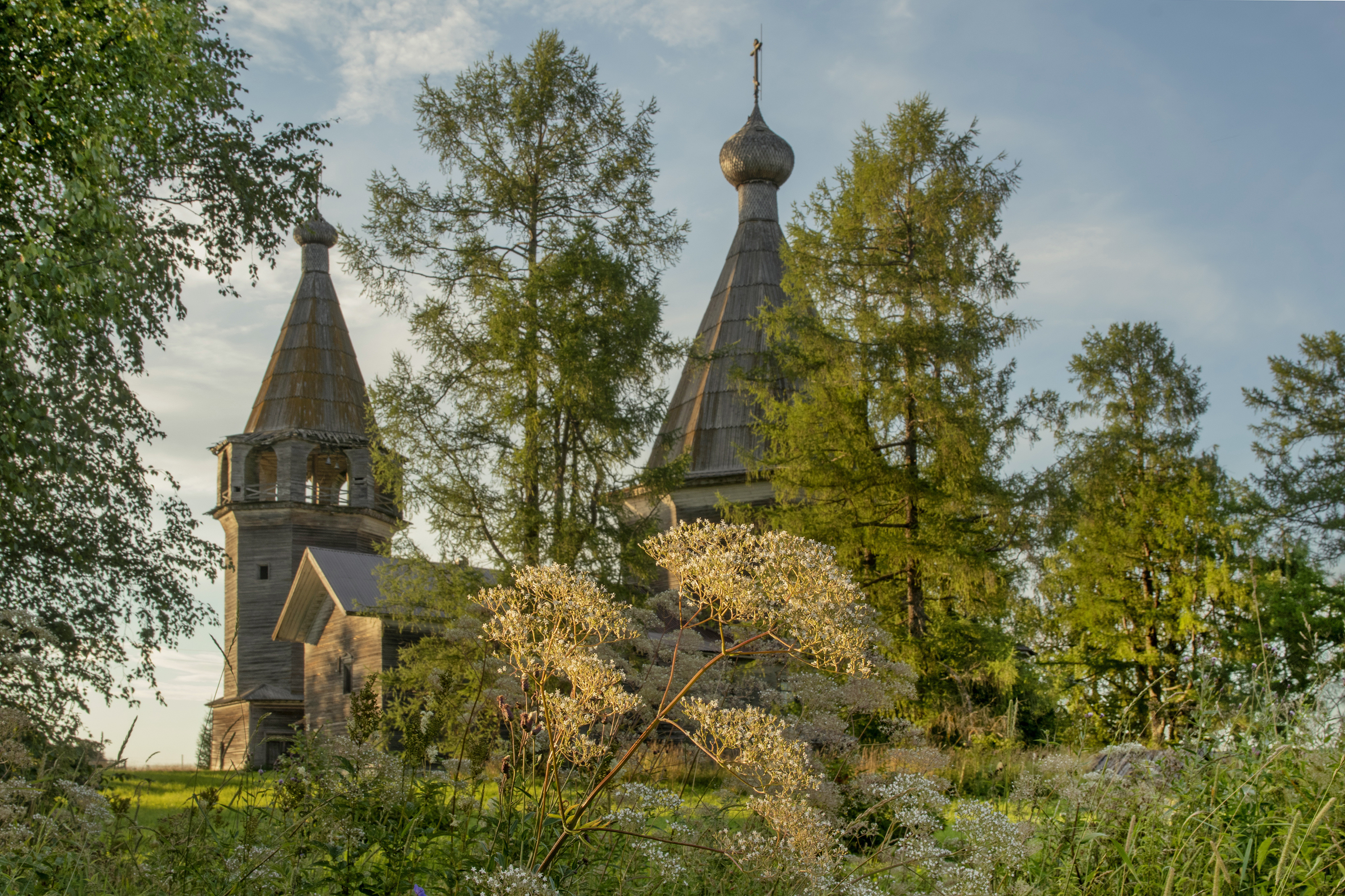 кенозерский нац.парк, Добролюбова Тамара