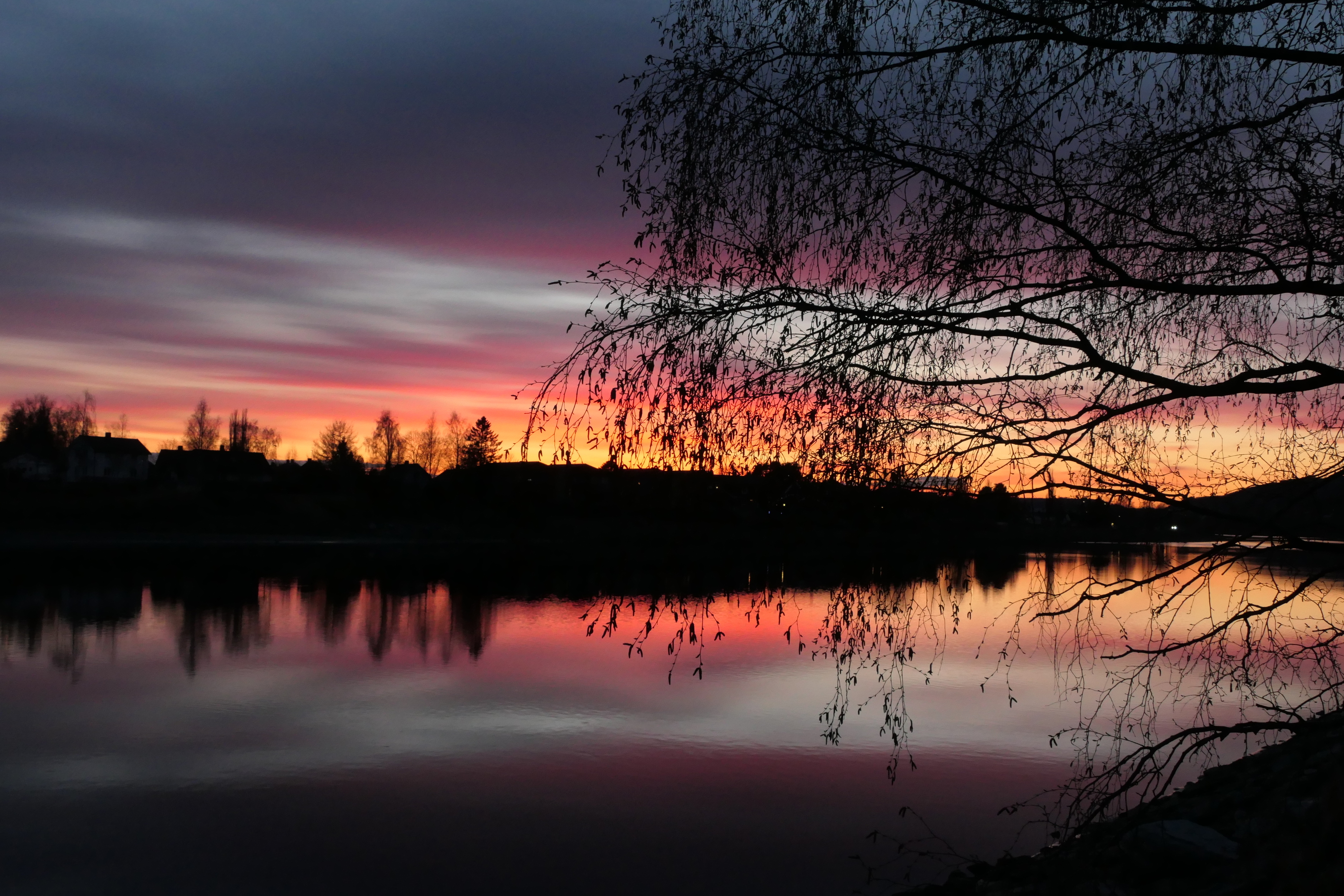 Landscapes, Norway, Nature, River, Sunset, Tree, Silhouette, Colors, Reflection, , Svetlana Povarova Ree