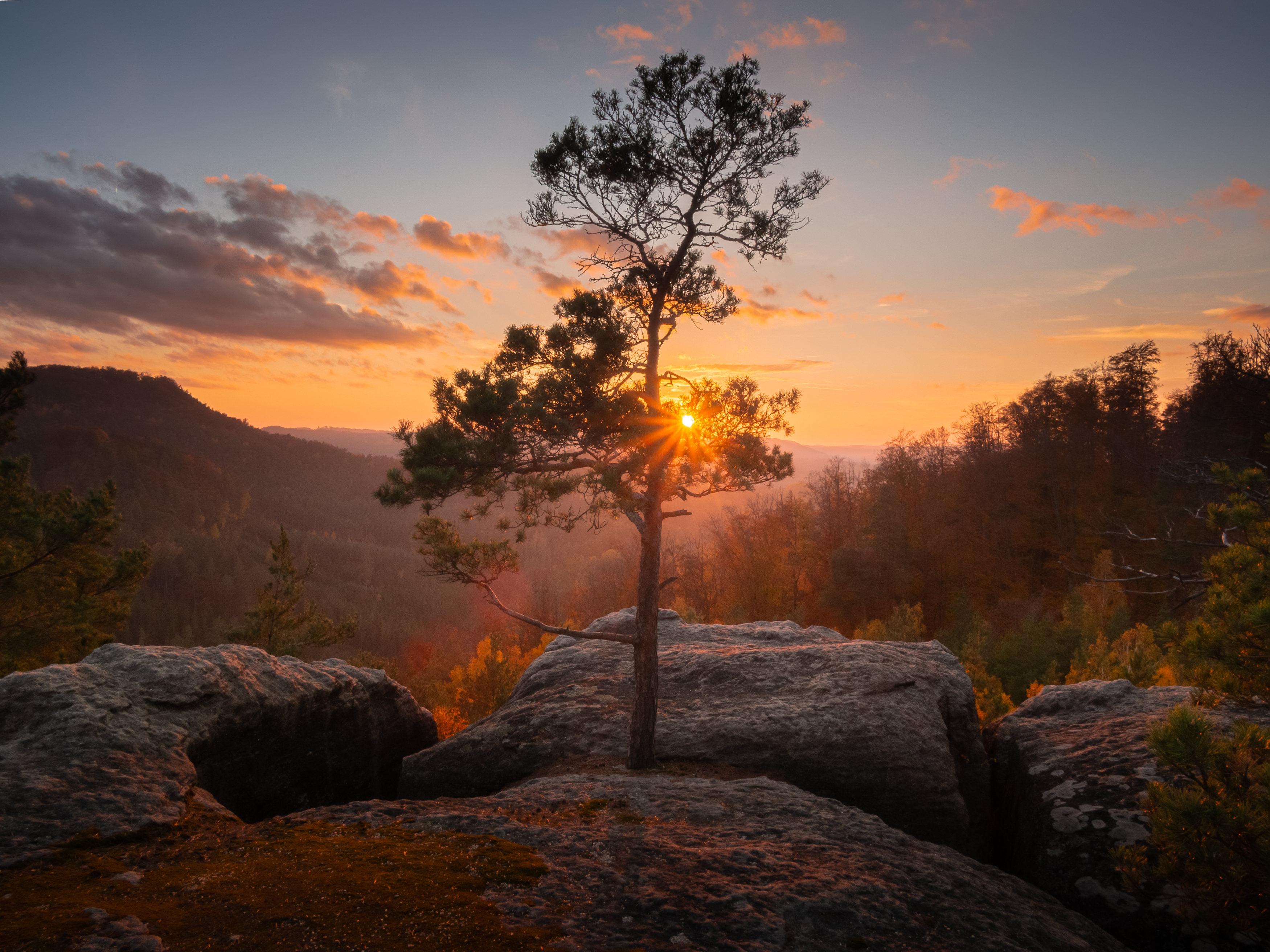 czechia,czech republic,kokorin,hikikng,sunset,tree,lone tree,autumn,leaves,microfourthids, Slavomír Gajdoš