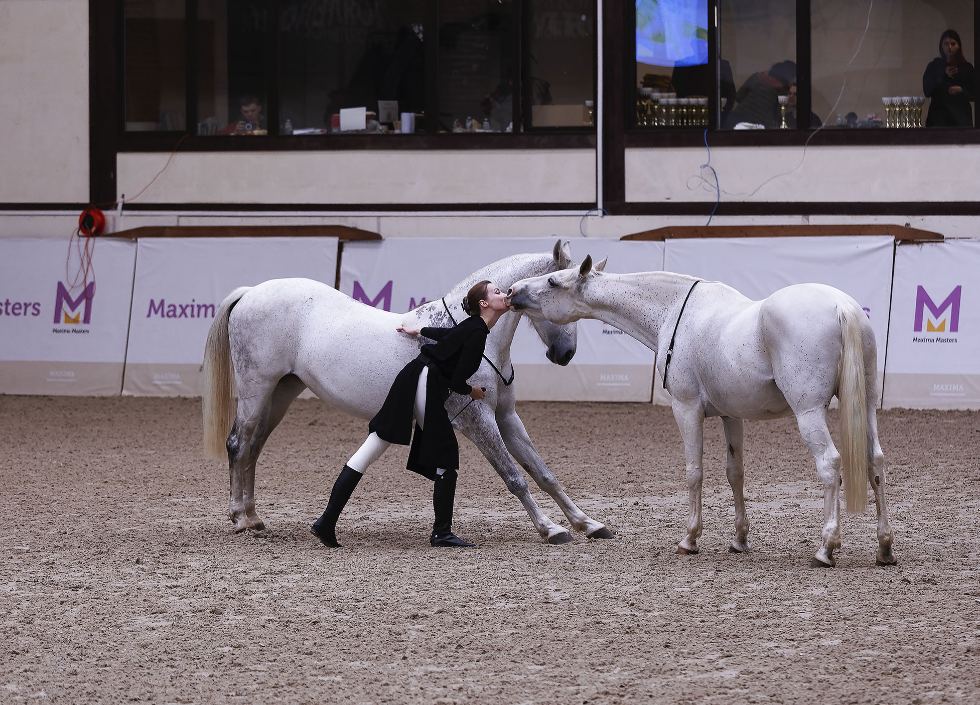 выступление, лошади, спорт, girl, horses, performance, Стукалова Юлия