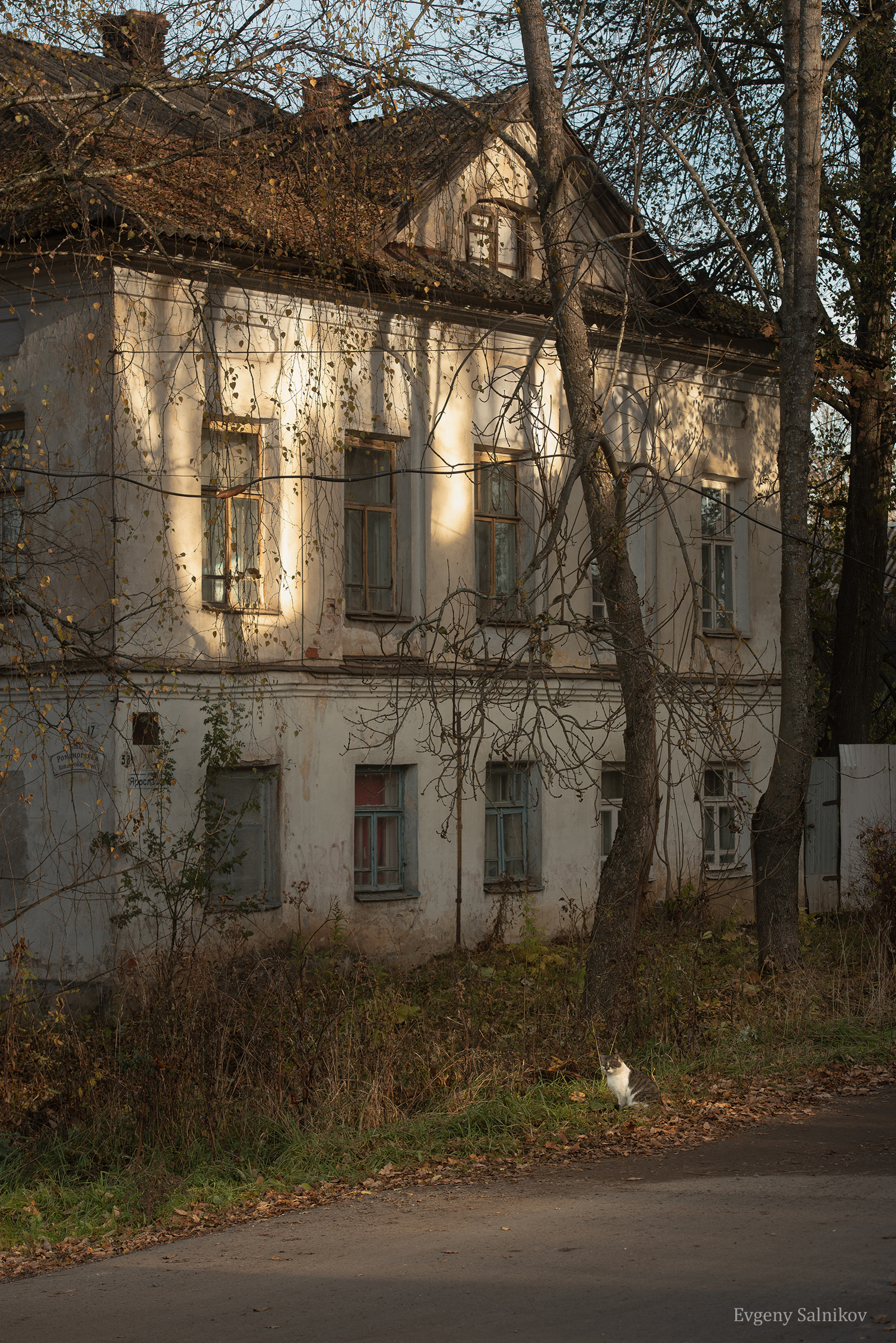 осень город здание кот кошка особняк, Сальников Евгений