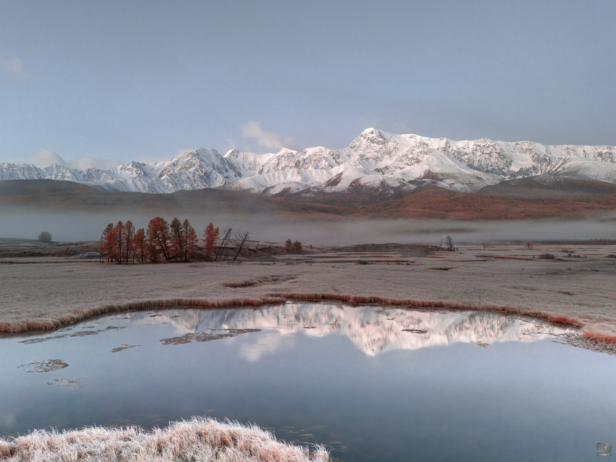 джангысколь алтай, Ковалев Дмитрий