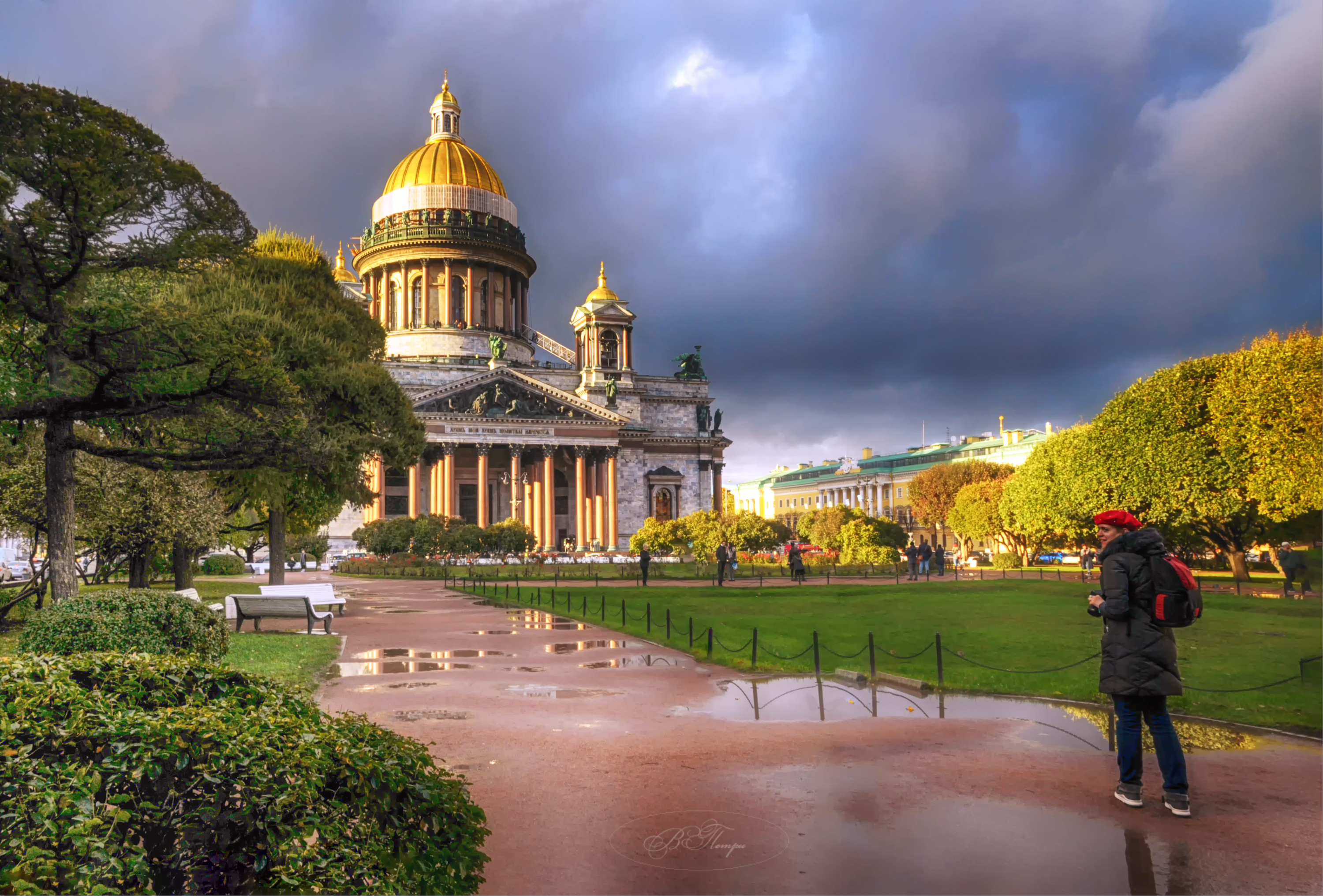 собор девушка лужи, Вера Петри