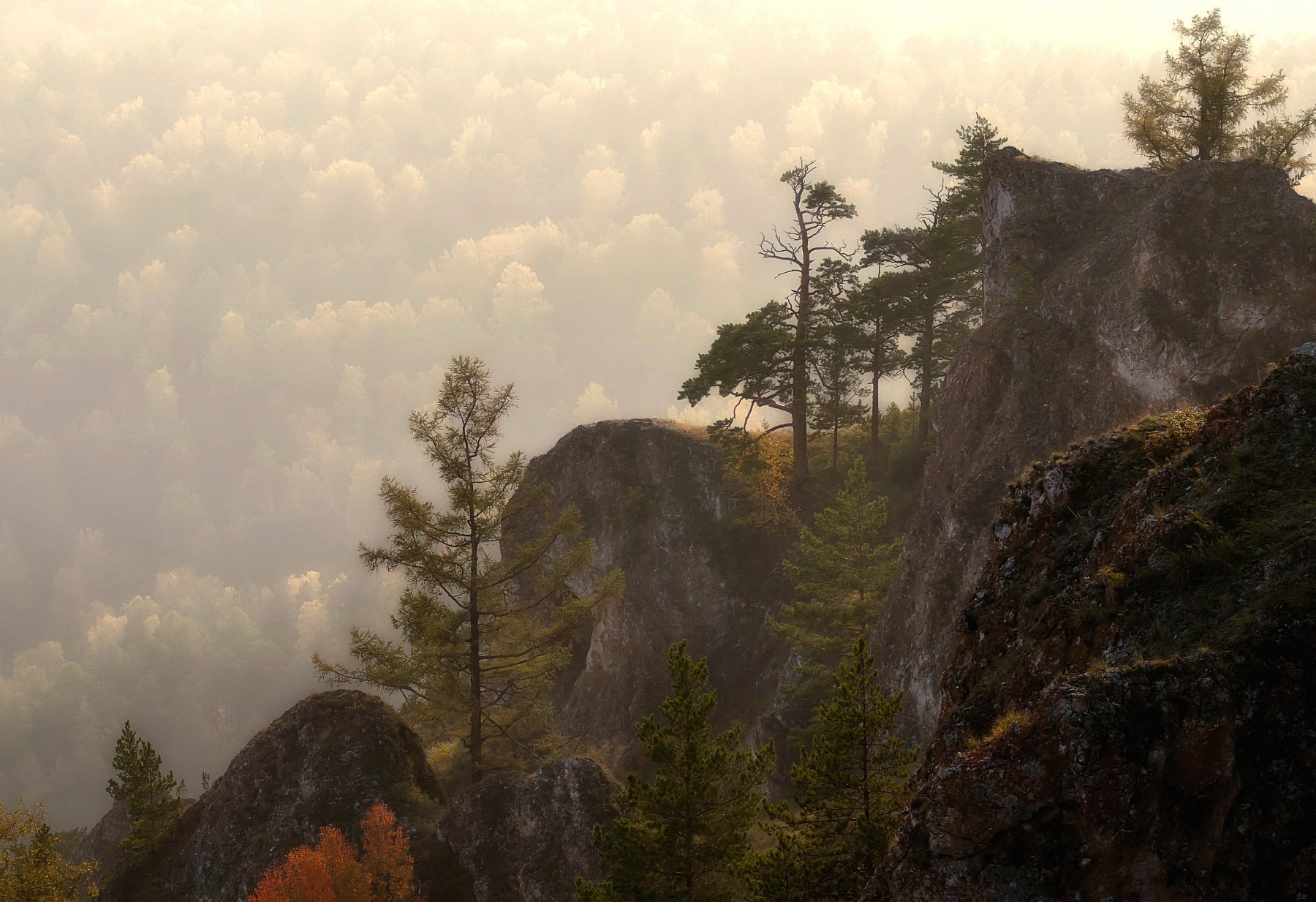 осень, торгашинский хребет, туман, тайга, Фомина Марина