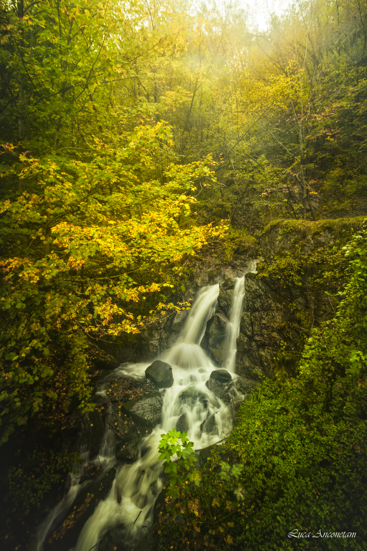 autumn colors italy nature trees waterfall, Anconetani Luca