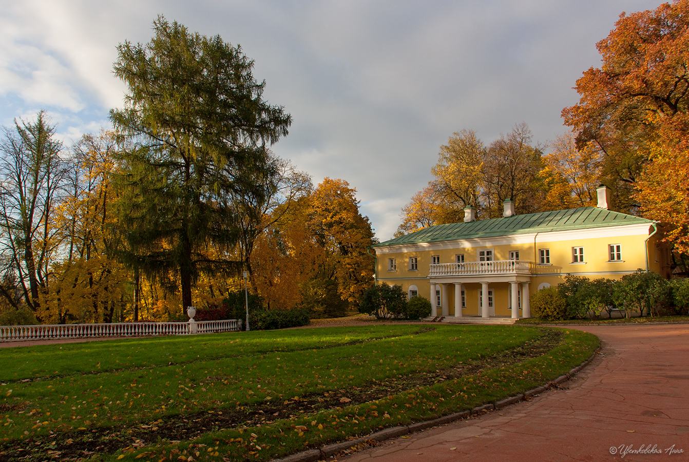 осень, ленинские горки, Анна Цветковская