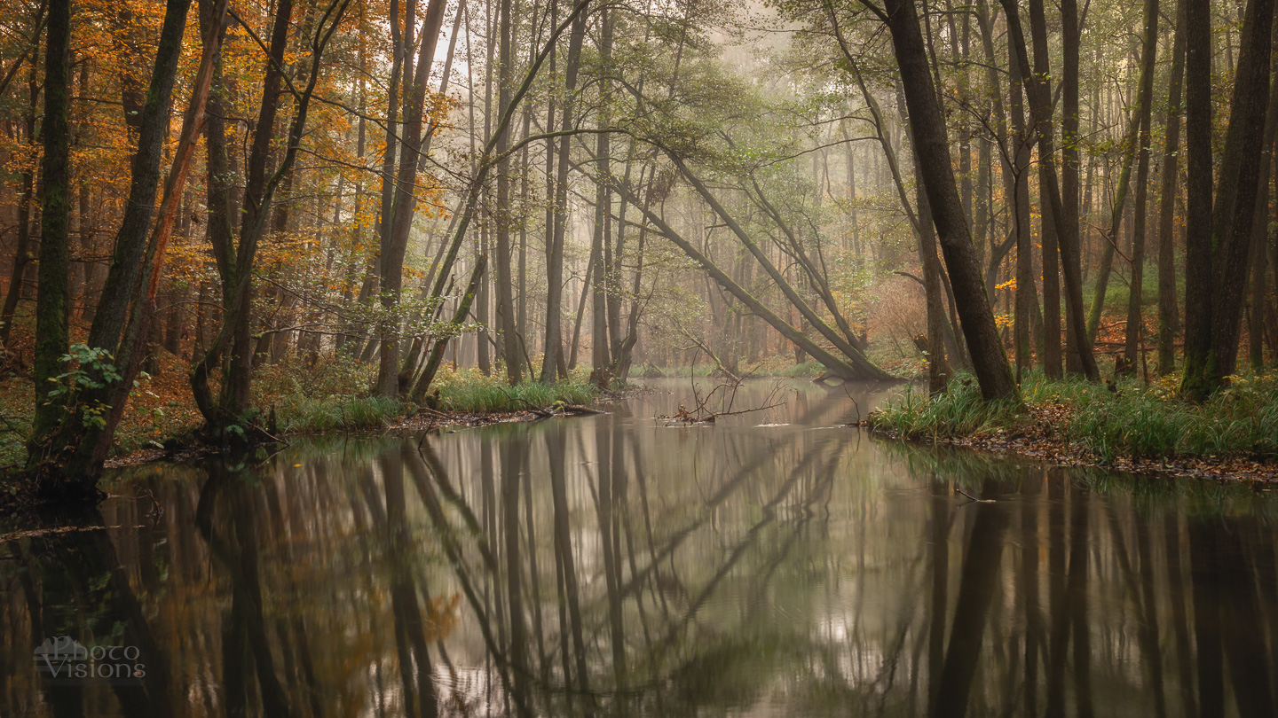 forest,woodland,fog,foggy,autumn,autumnal,woods,river,water,reflections,trees,, Photo Visions