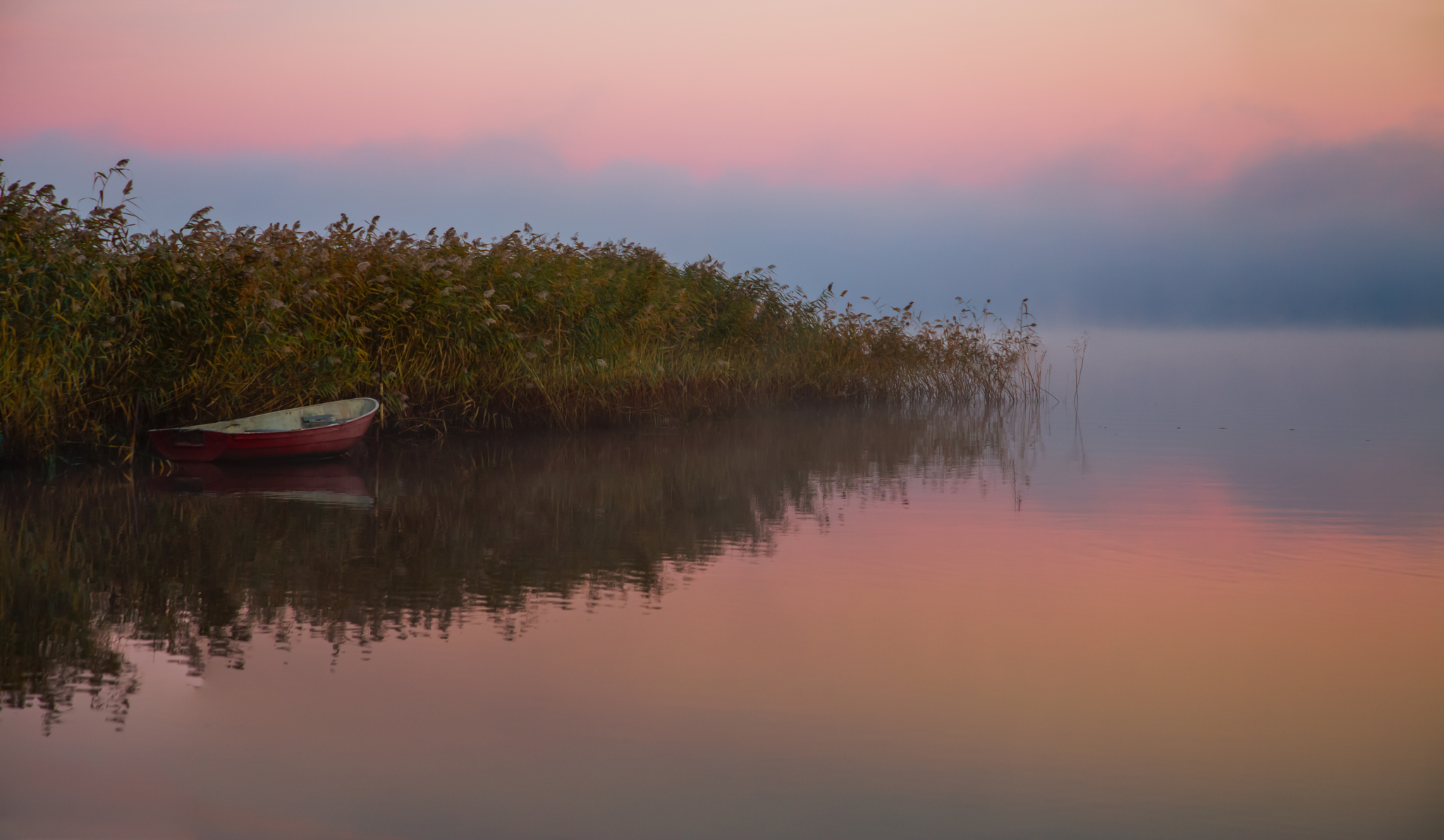 озеро утро вода отражение туман пейзаж landscape fog lake, Виктор