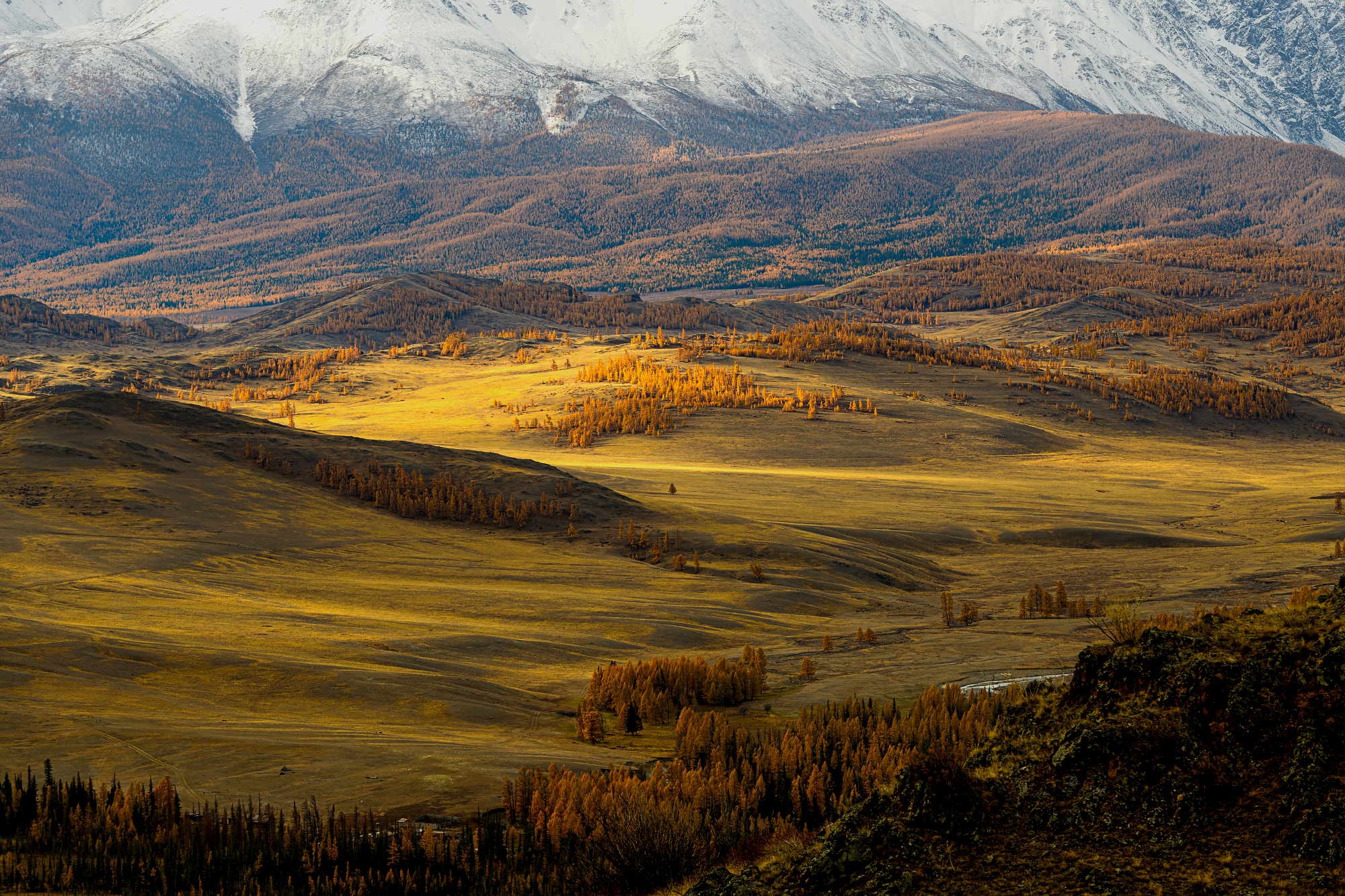 алтай, осень, горы, Юрий Матвеев